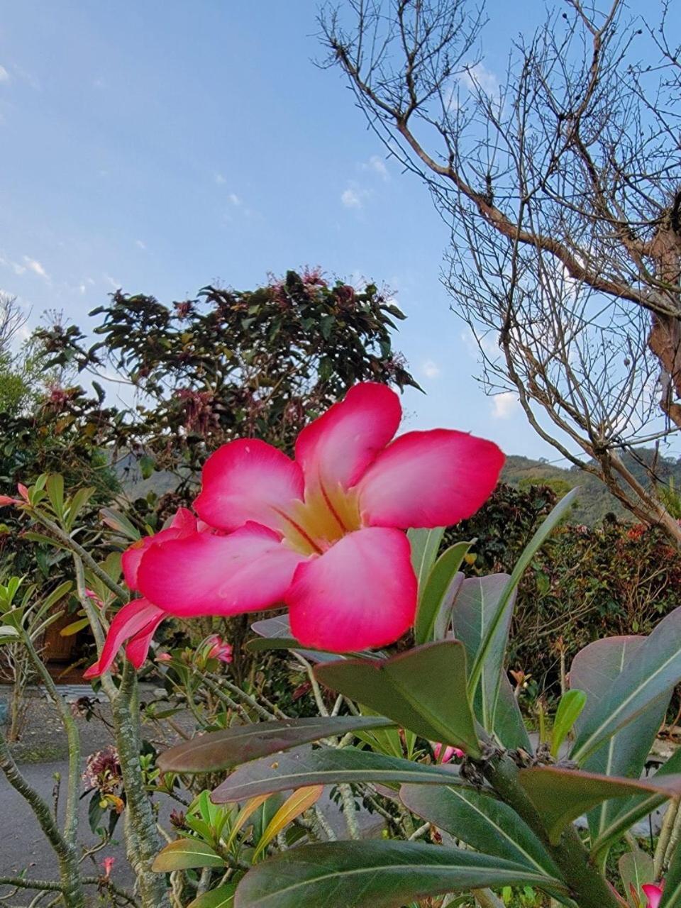 YingChia SPA Homestay
