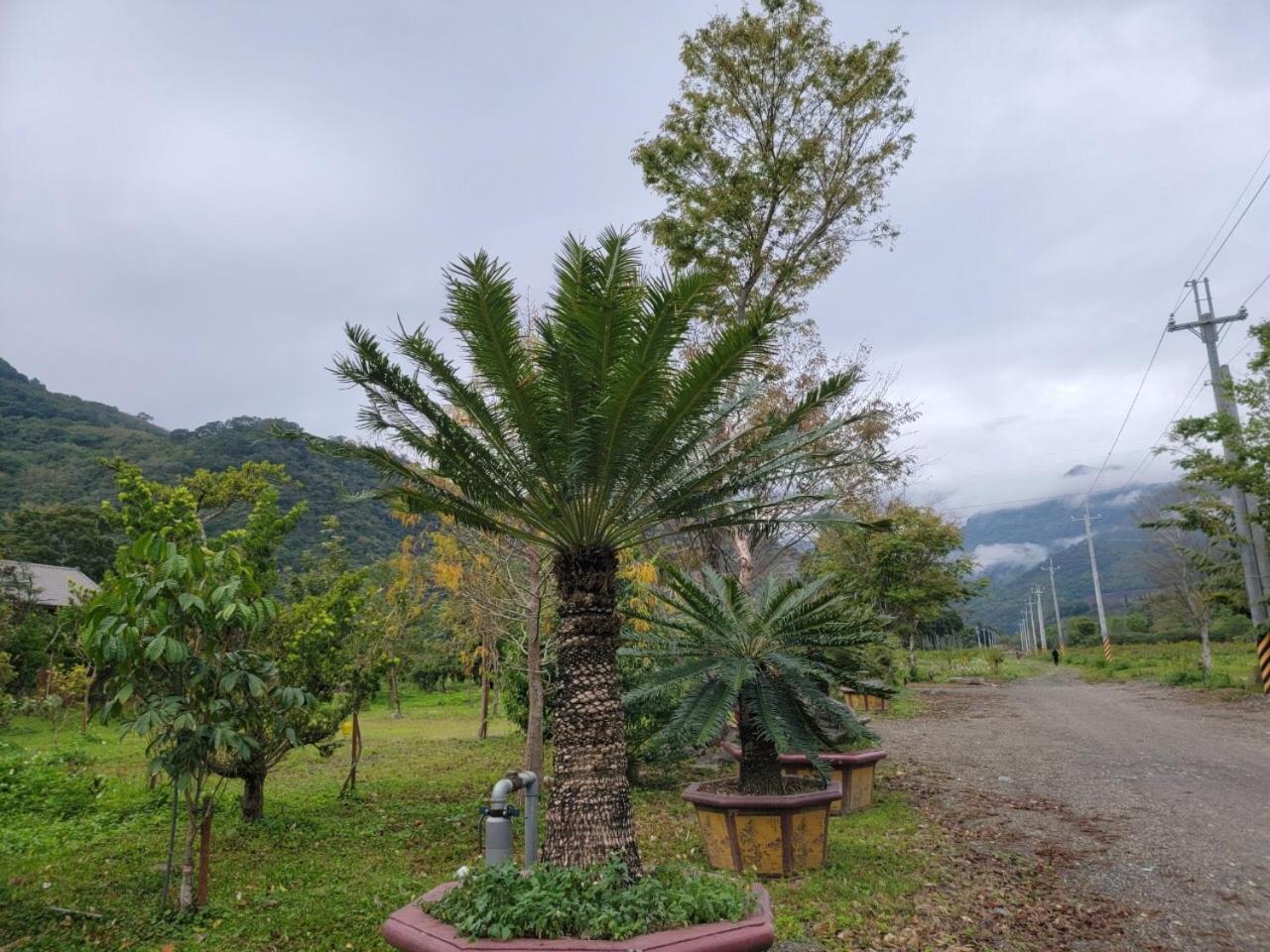 YingChia SPA Homestay