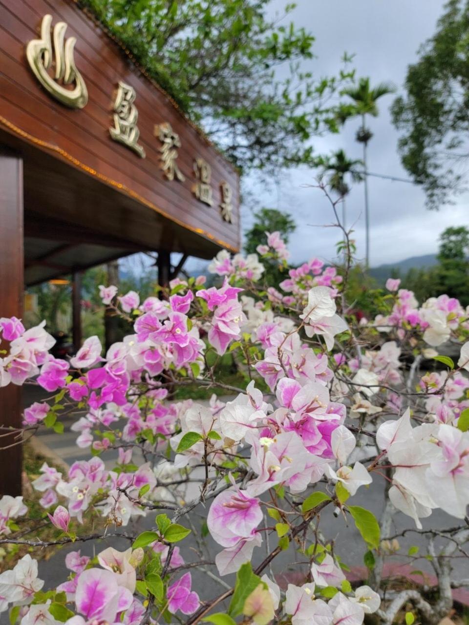 YingChia SPA Homestay