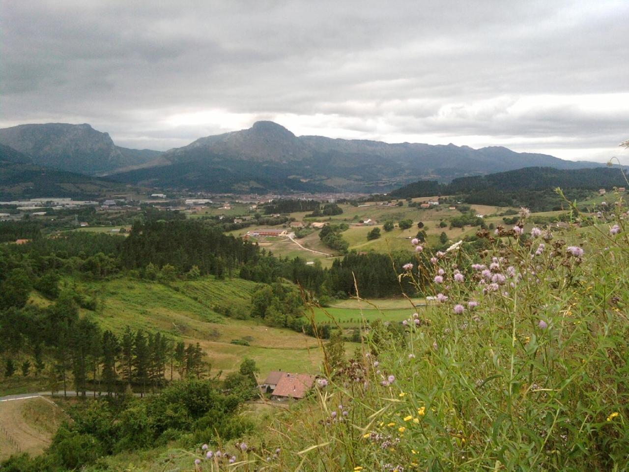 Photo 13