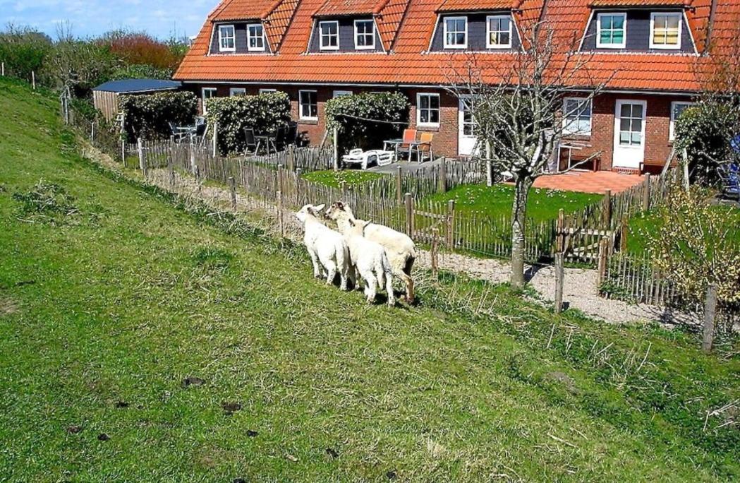 Ferienhaus Kiebitz