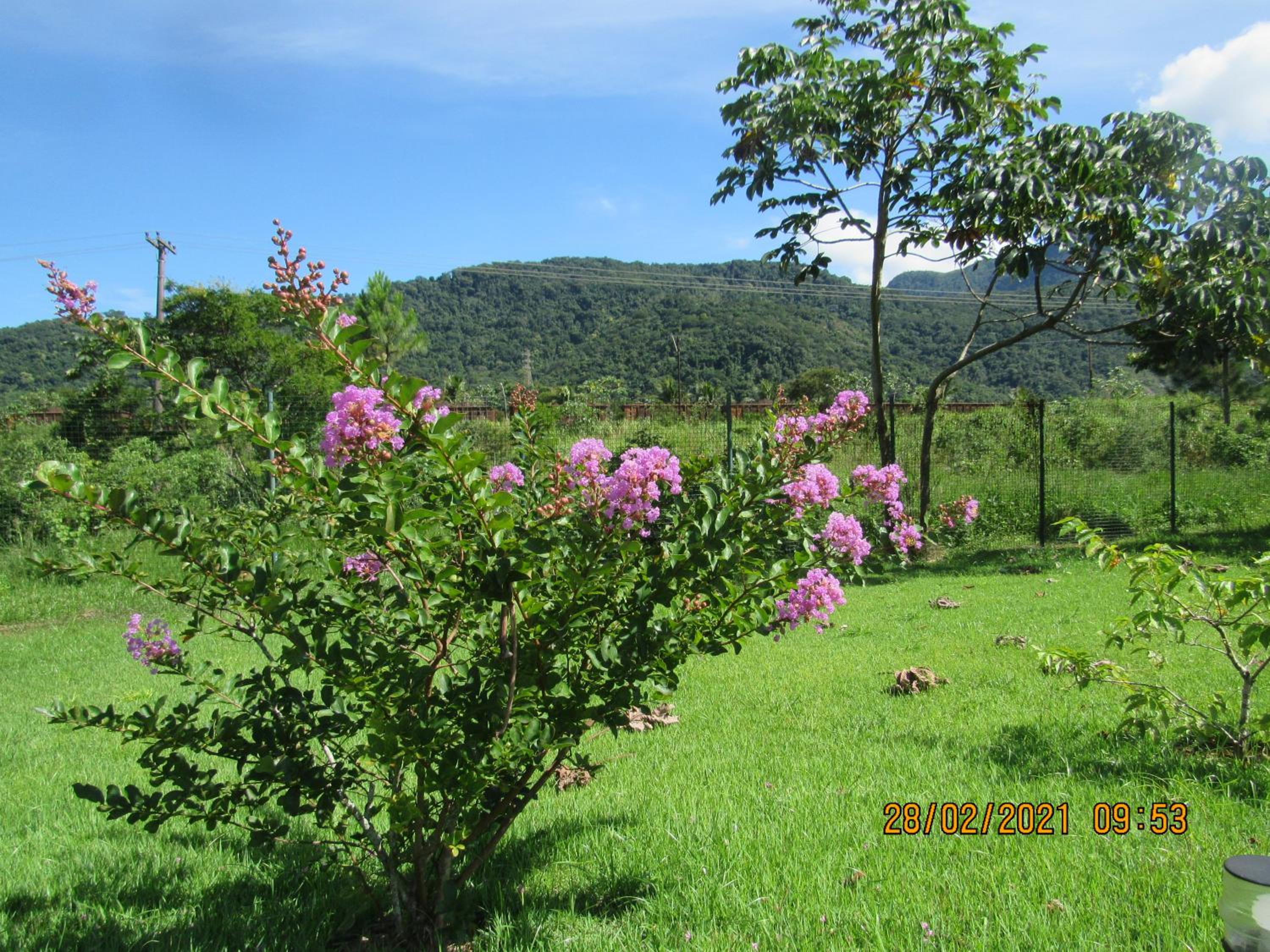 Photo 48
