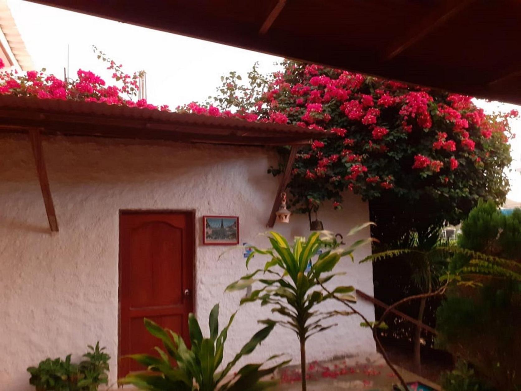 Casa Tara - Property Image 26