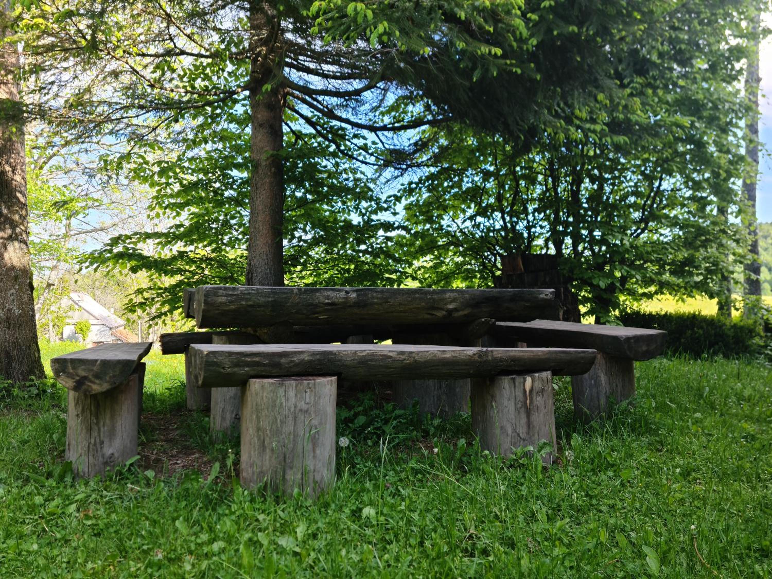 Photo 12