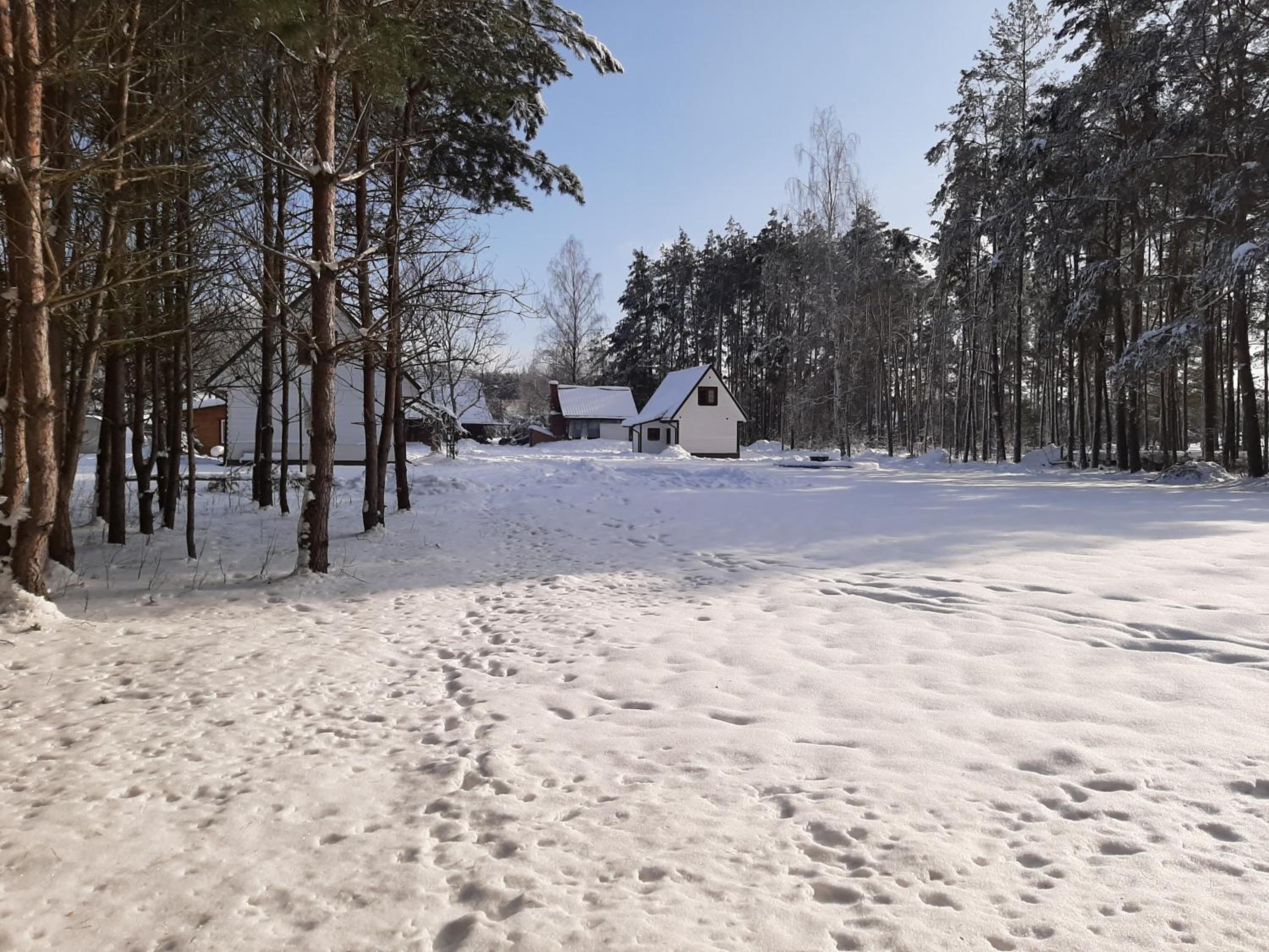 Photo 21