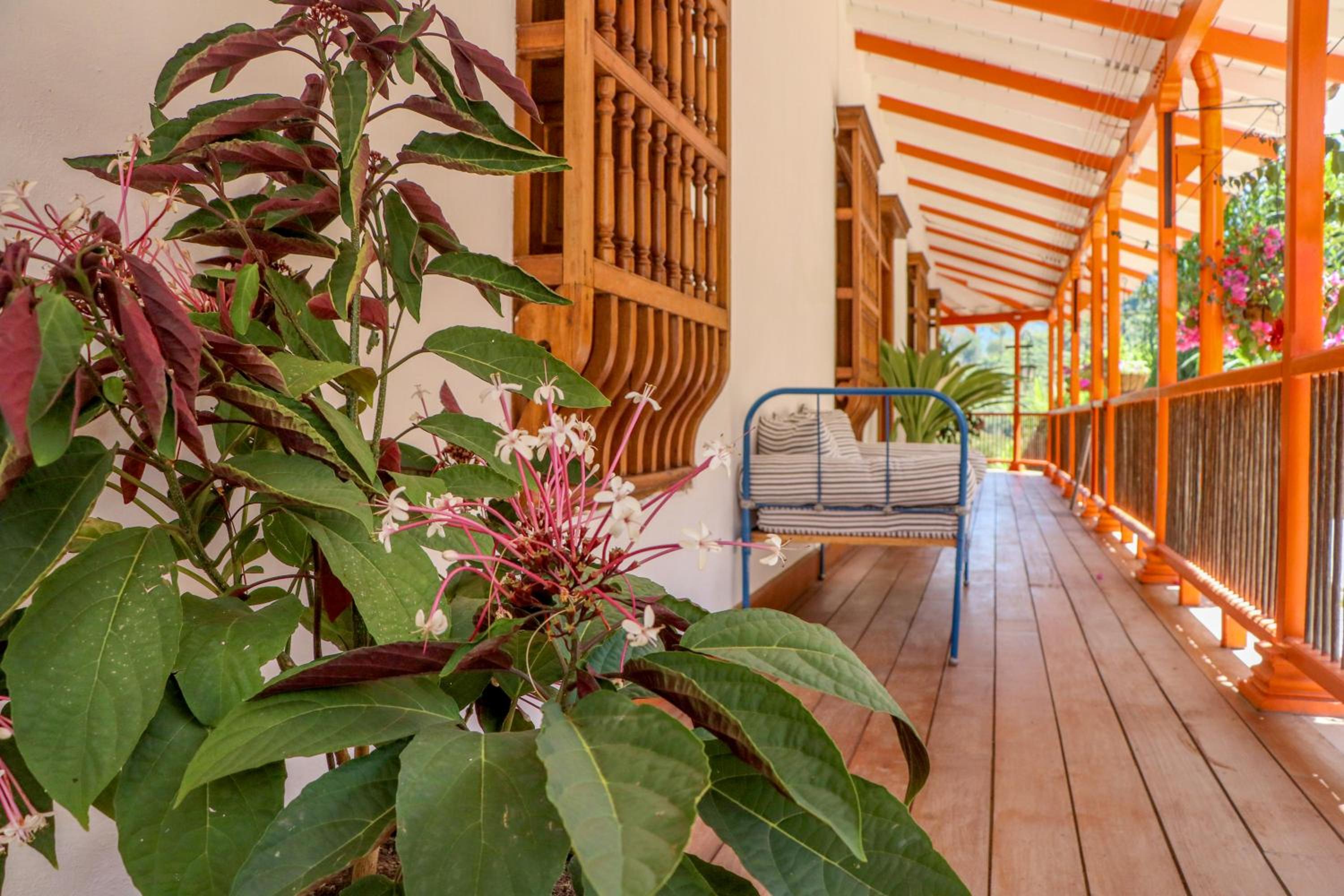 Finca La Manchuria, photo 24
