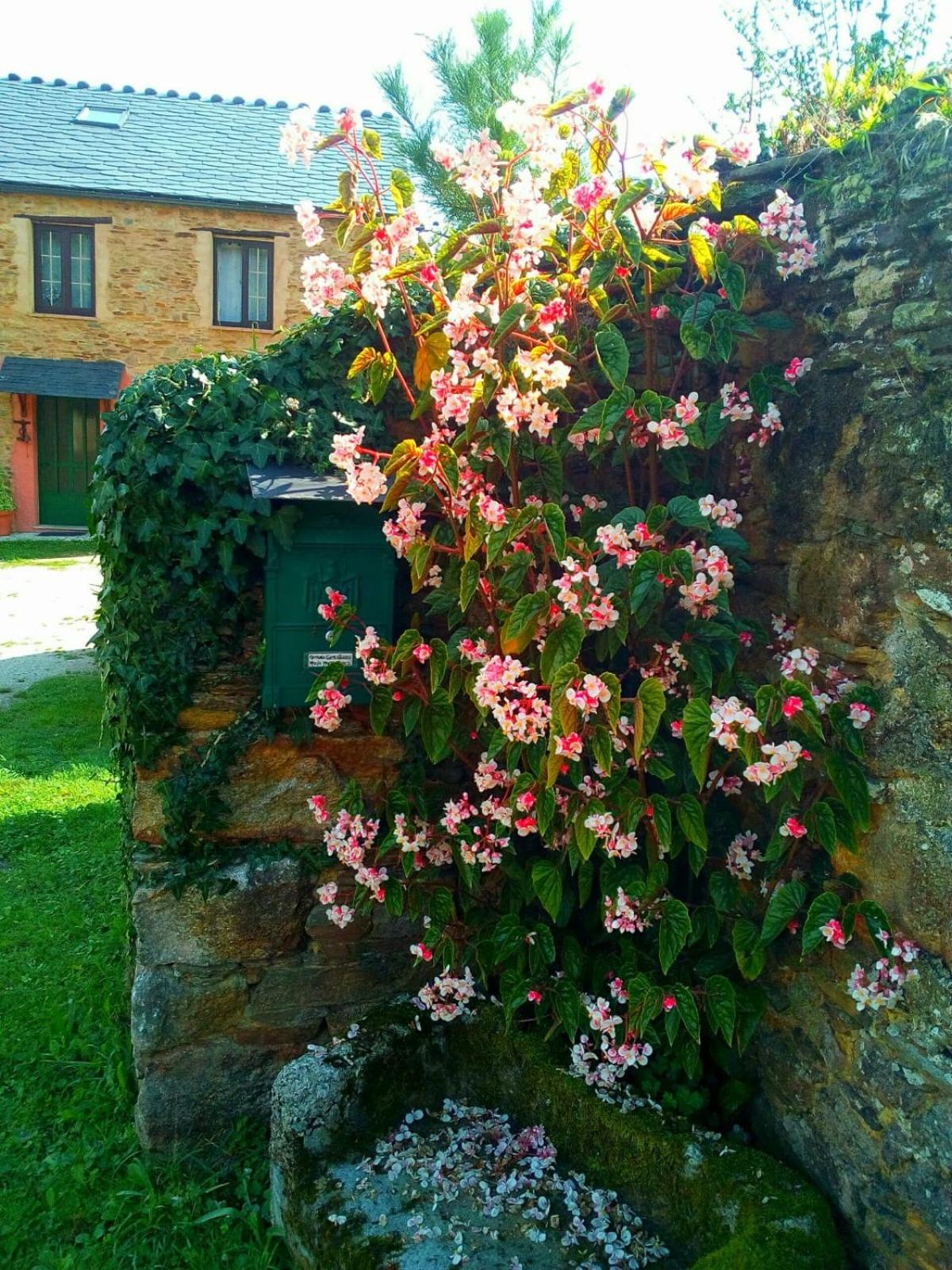 other