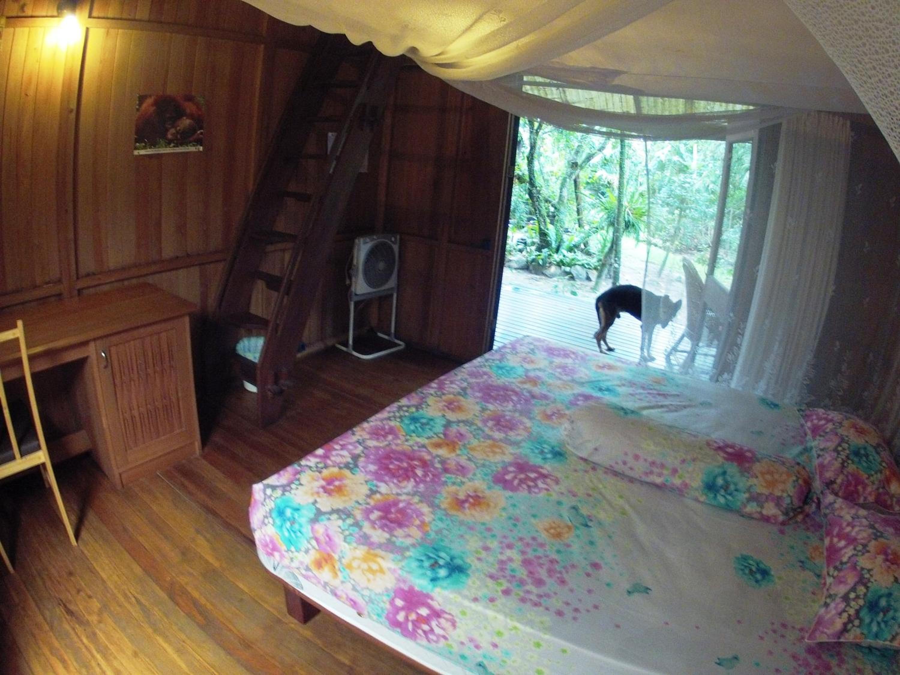 Bukit Raya Guesthouse