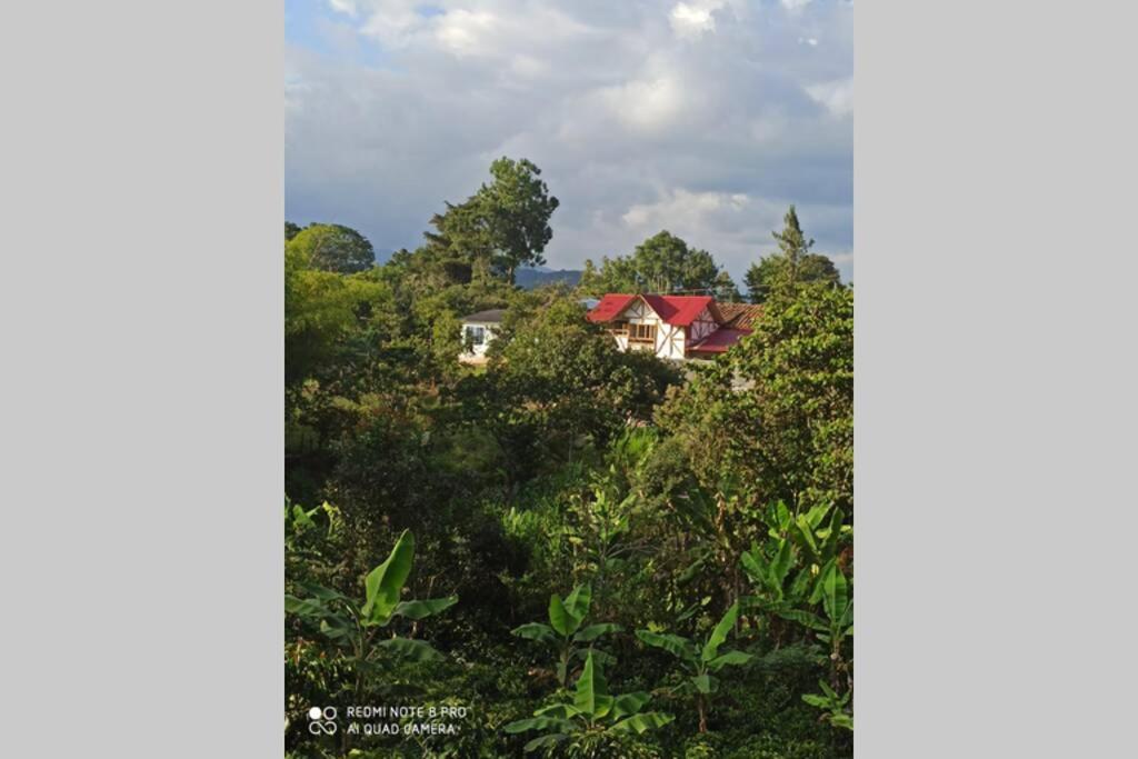 Casa Amarilla Pinar del Rio San Agustín H