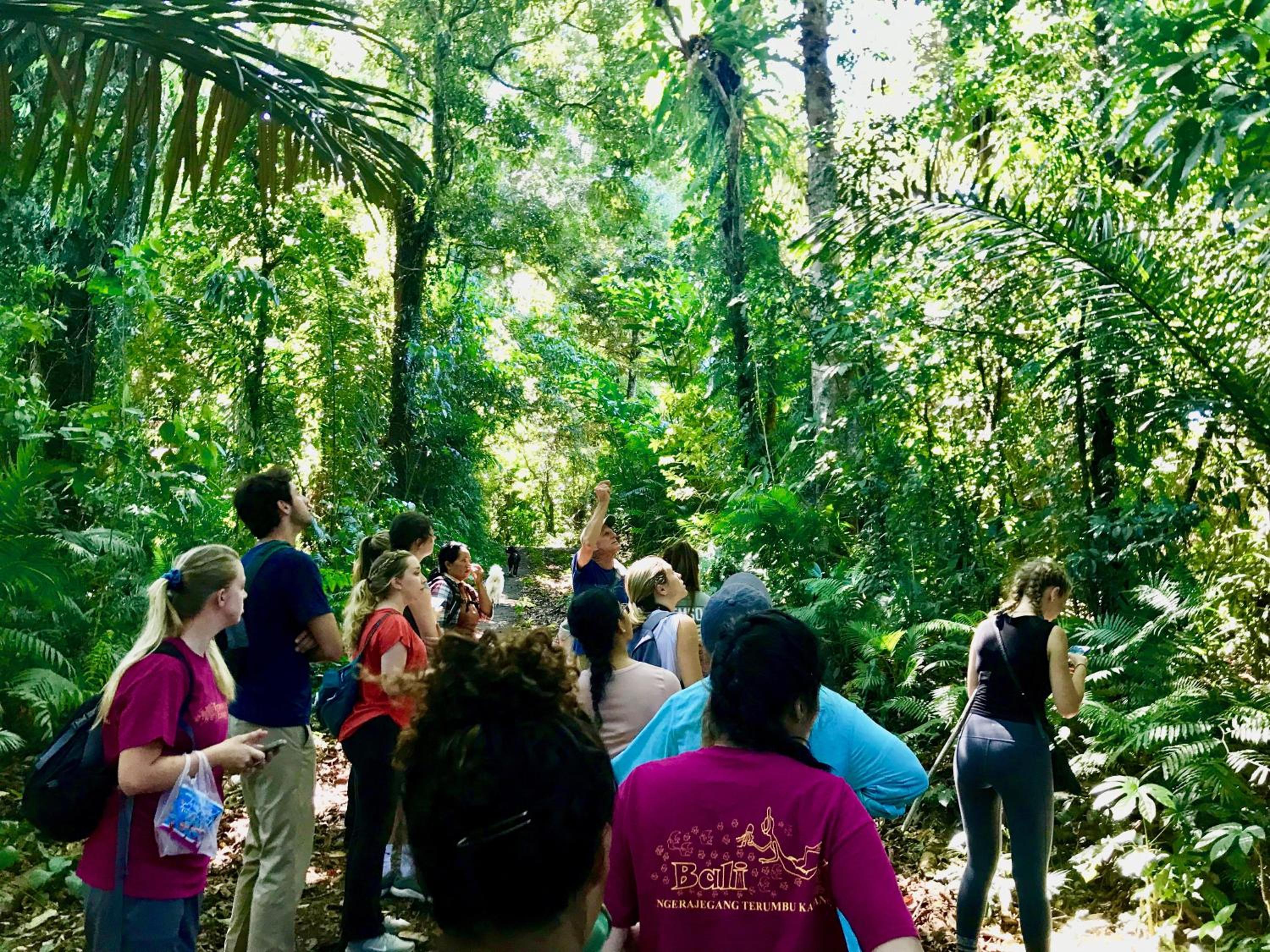 Sarinbuana Eco Lodge