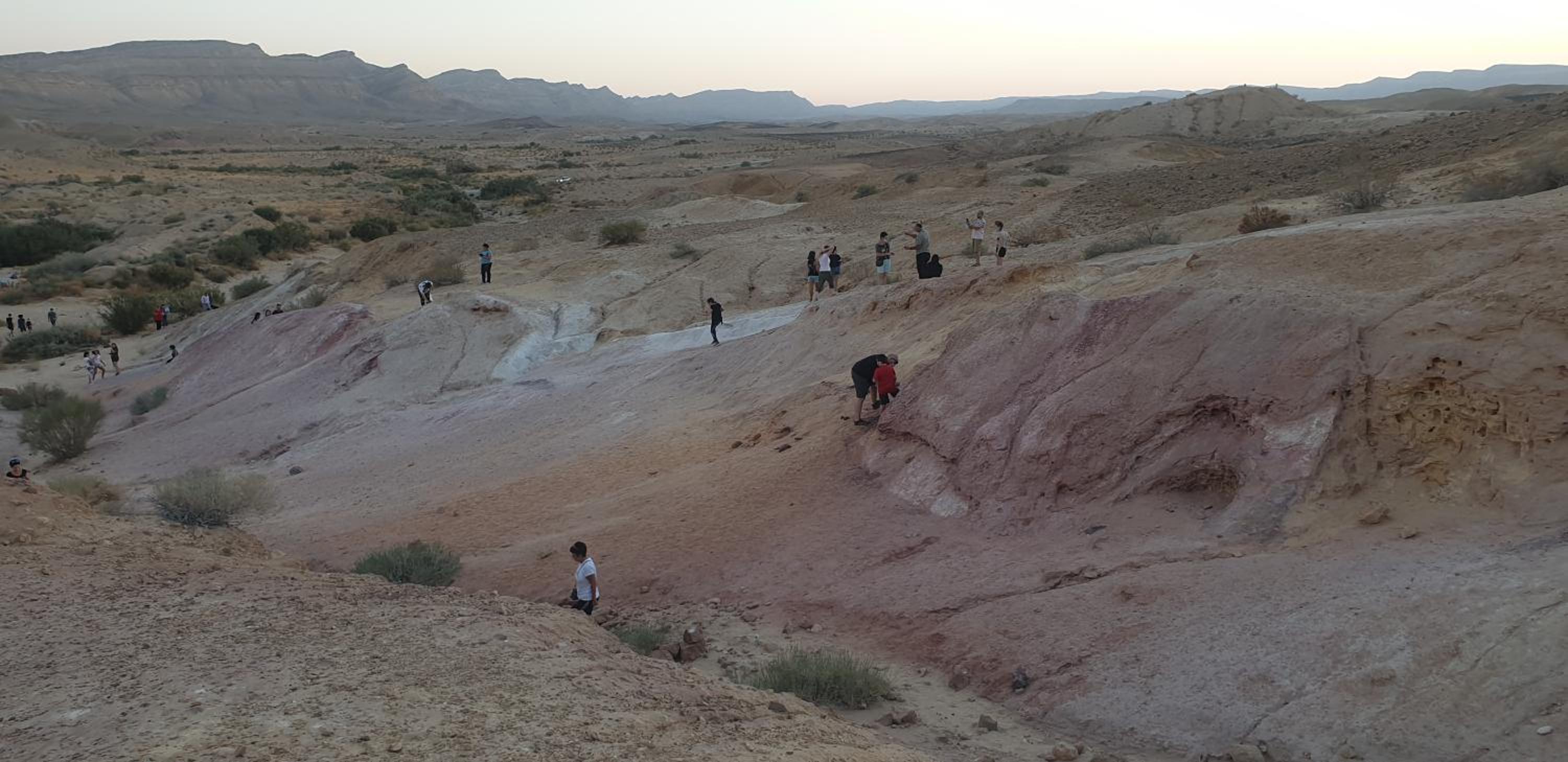 עדן במדבר - eden in desert, photo 33