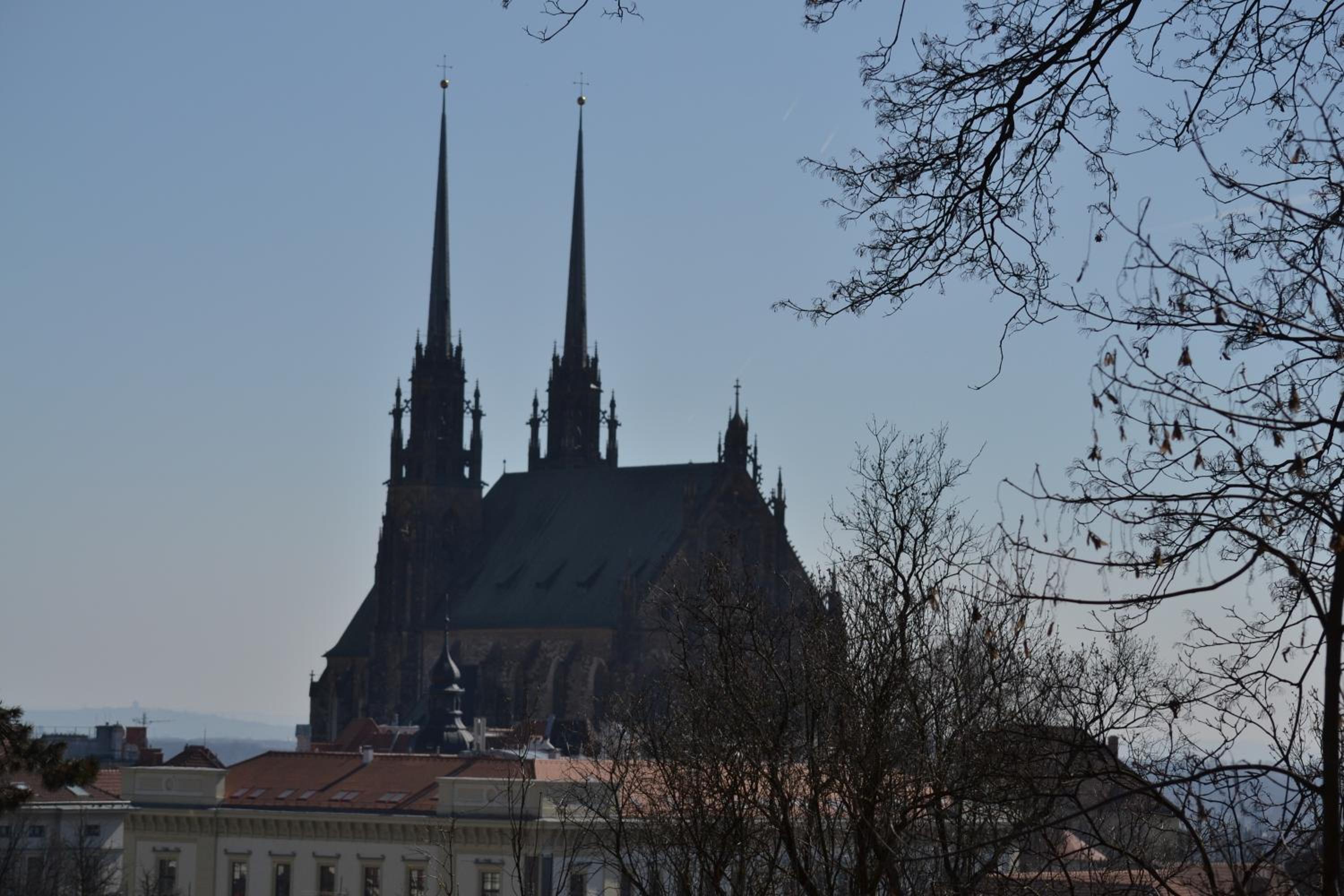 Photo 22