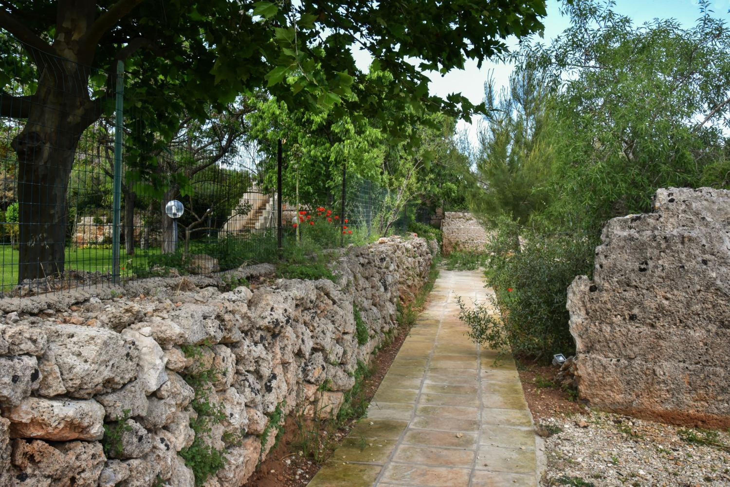 Photo 31
