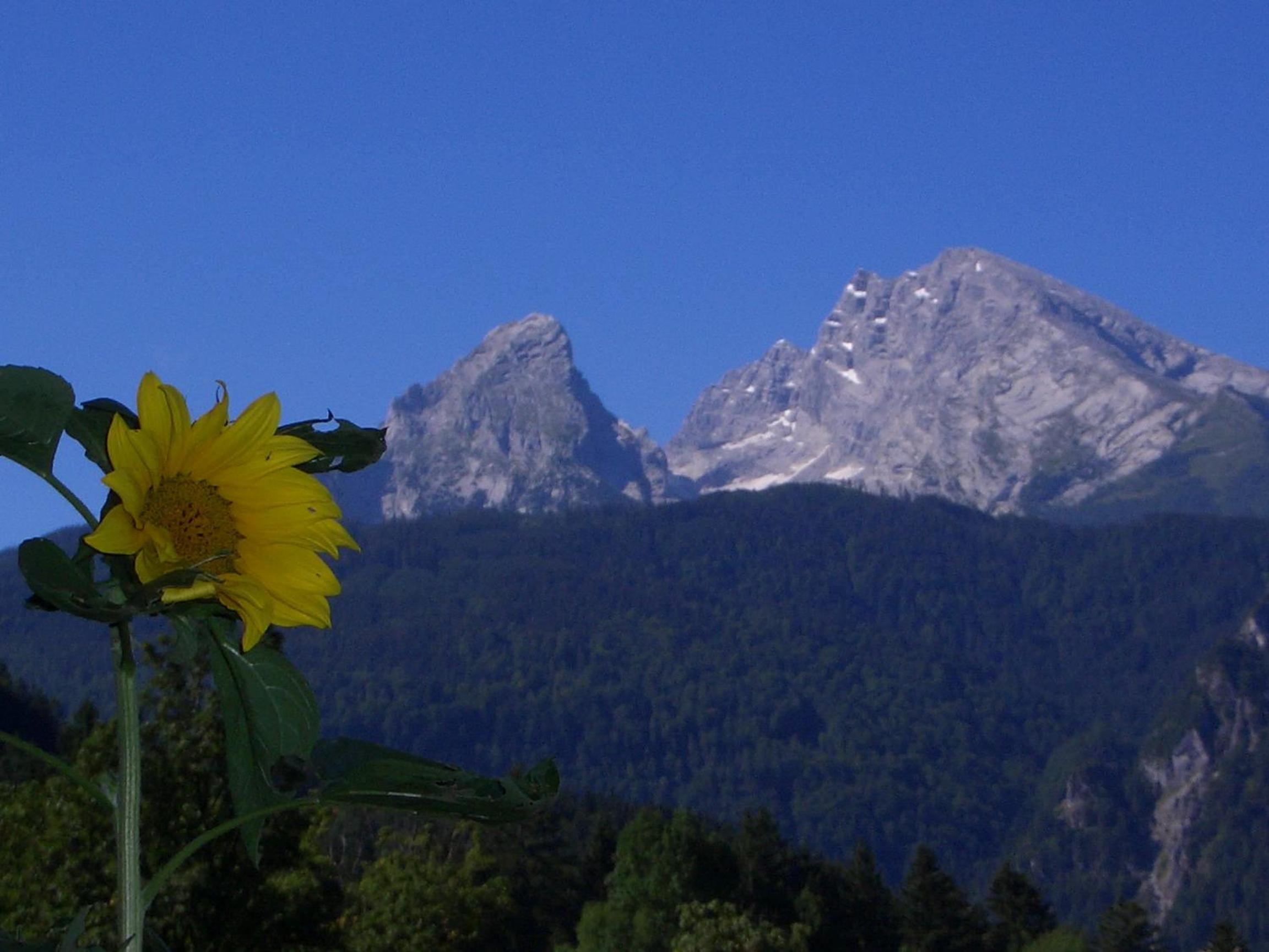 Ferienwohnungen Ingrid Schillmeier