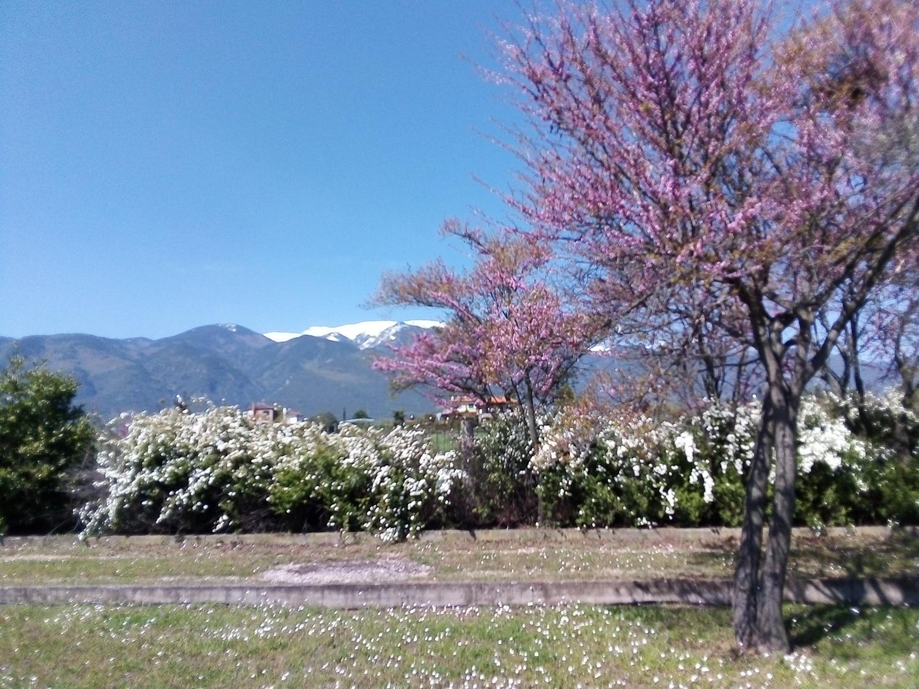 Photo 31
