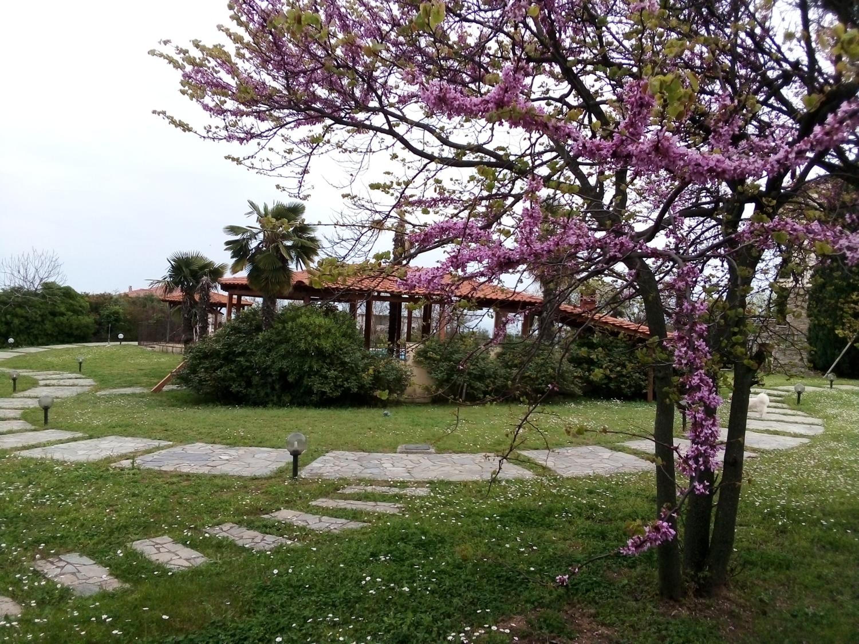 Photo 25