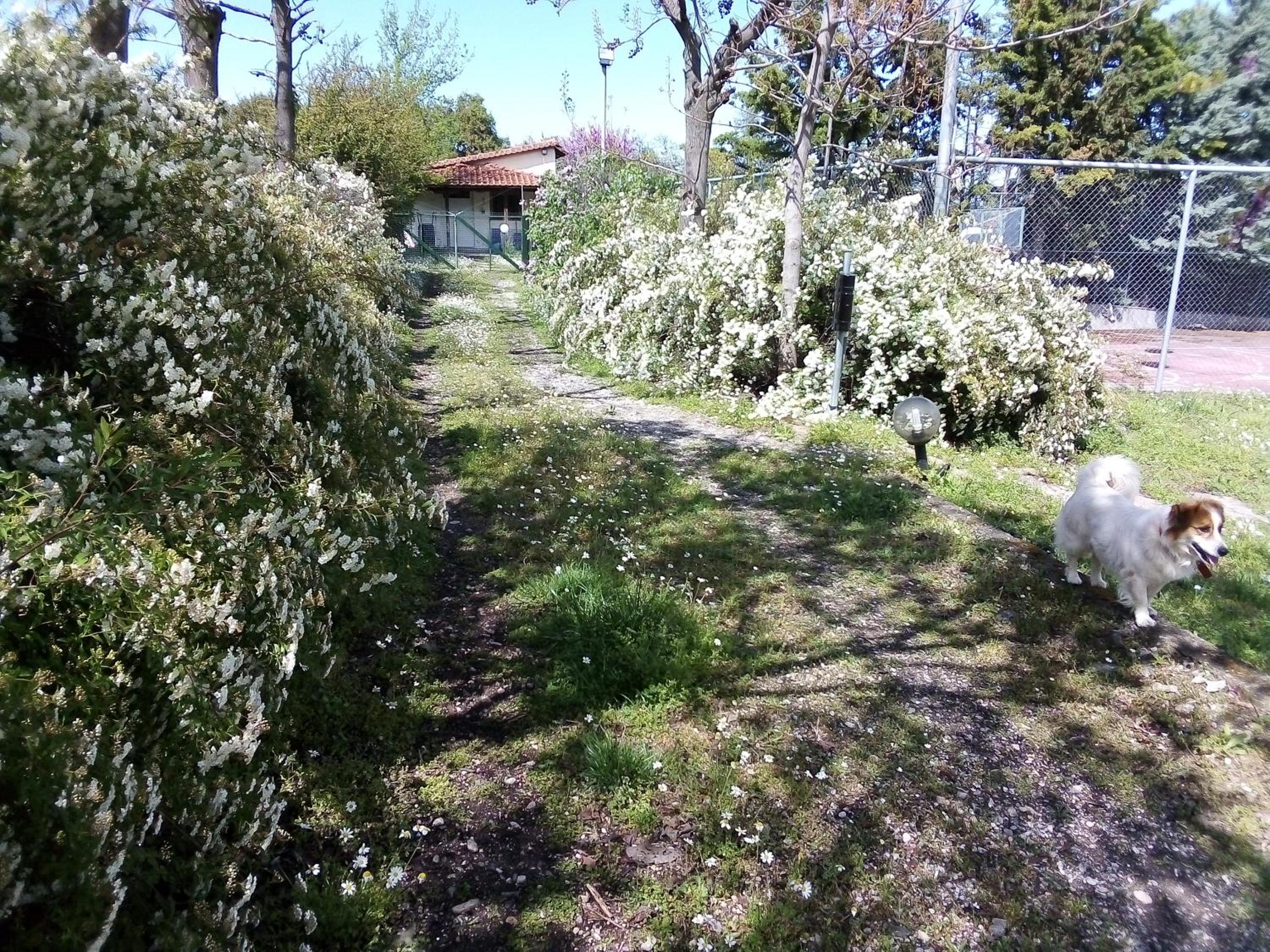 Photo 200