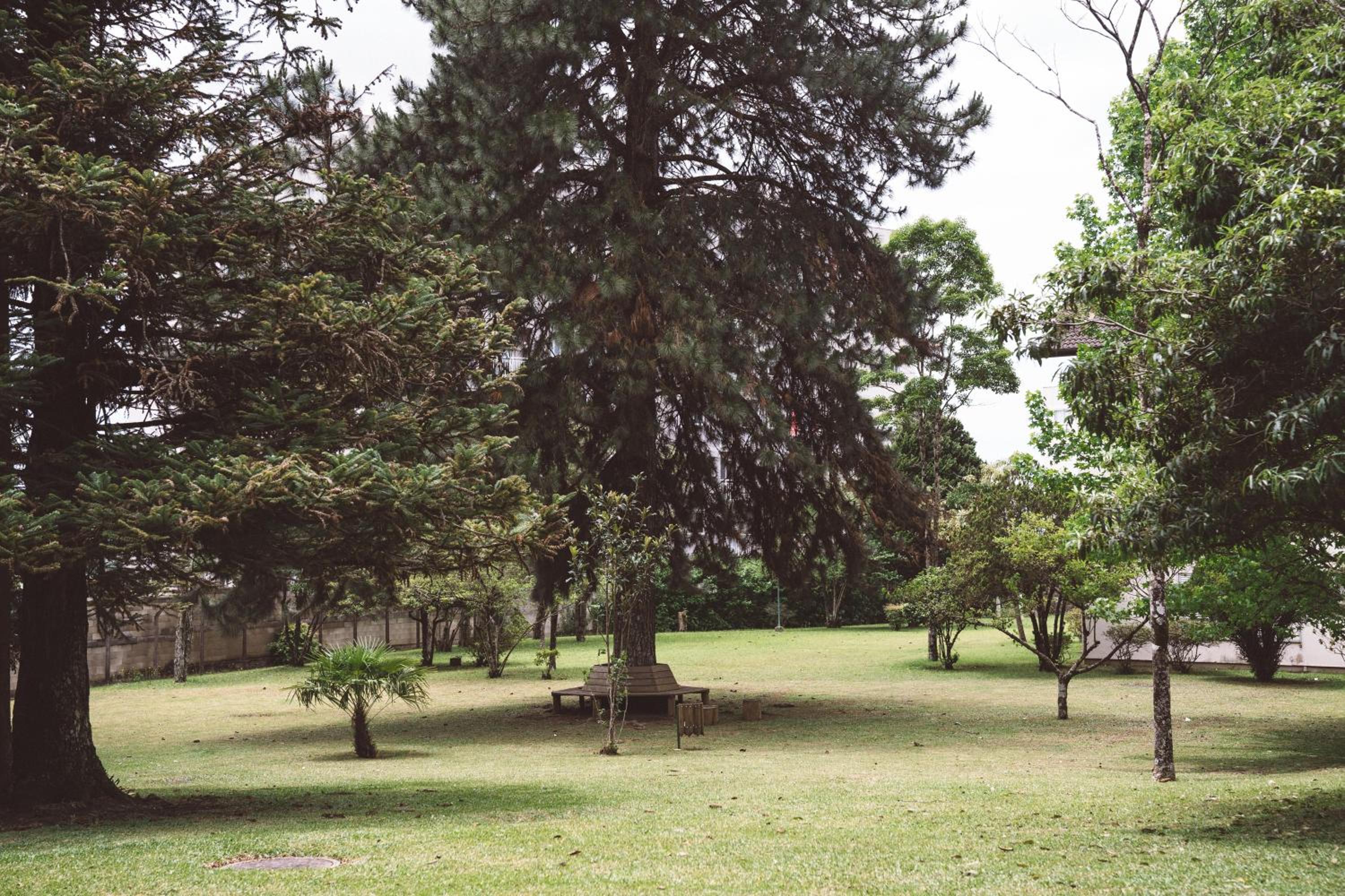 Pousada Betânia