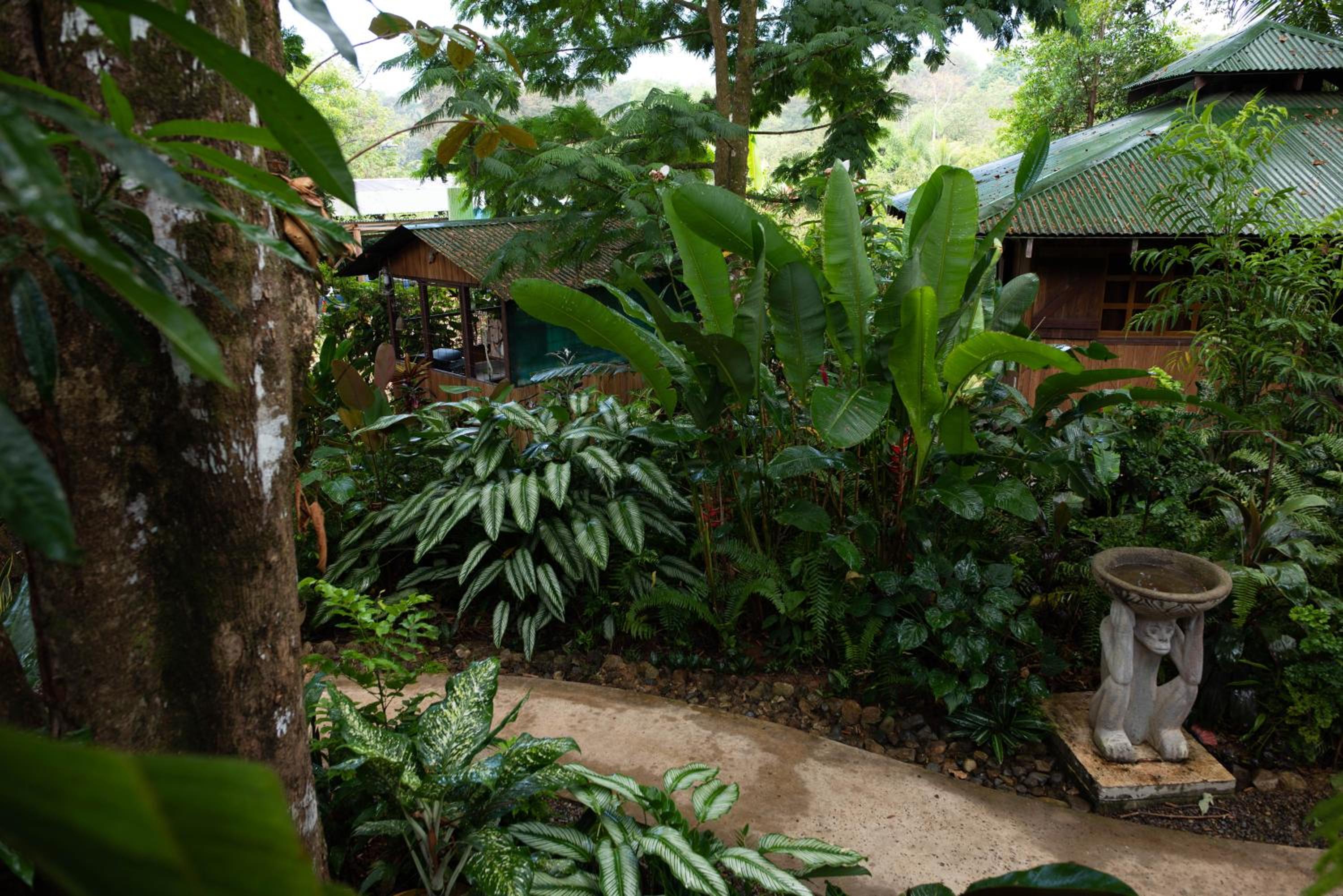 Las Brisas del Sur