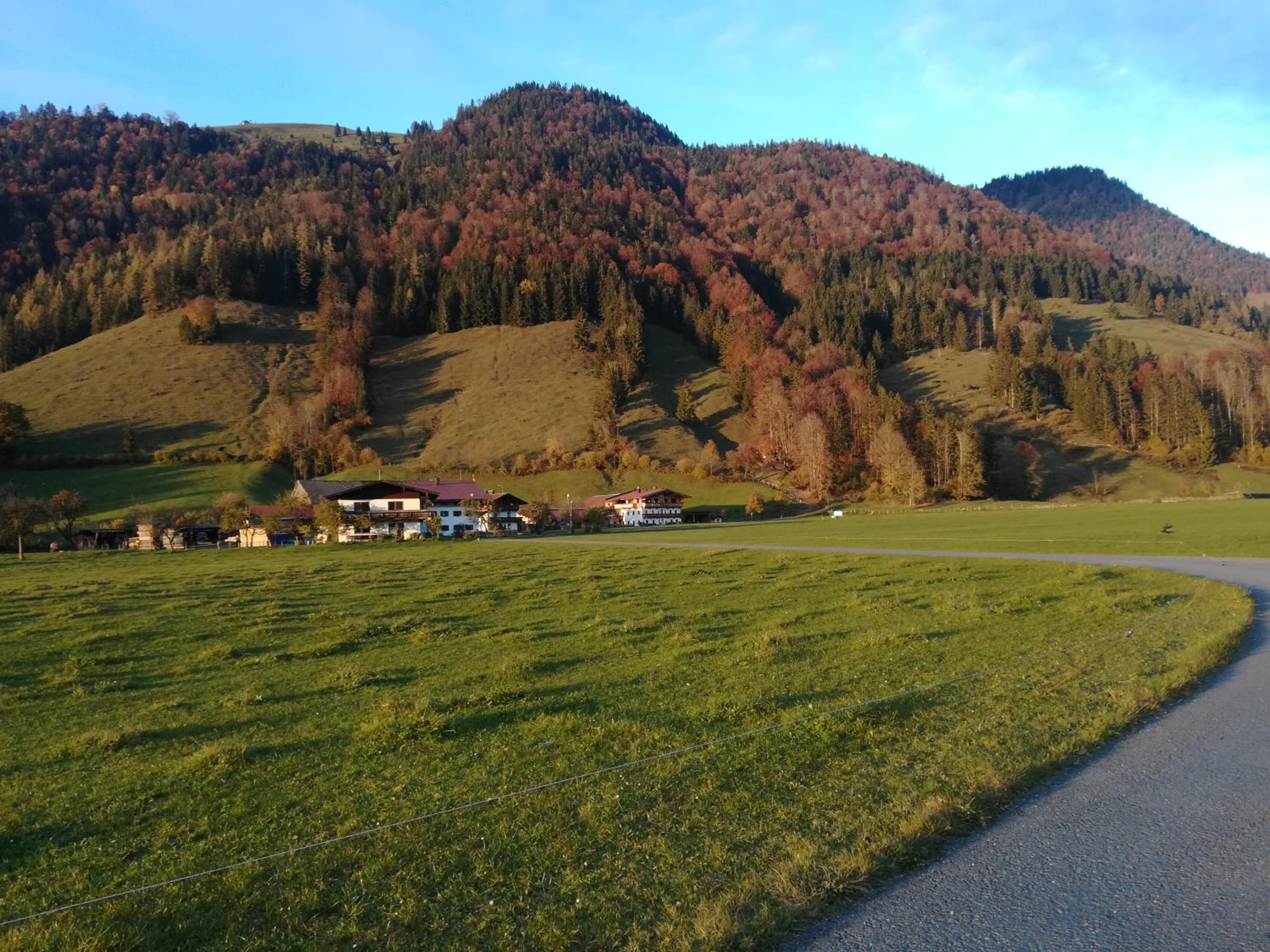 BIO- Bauernhof Obermaurach