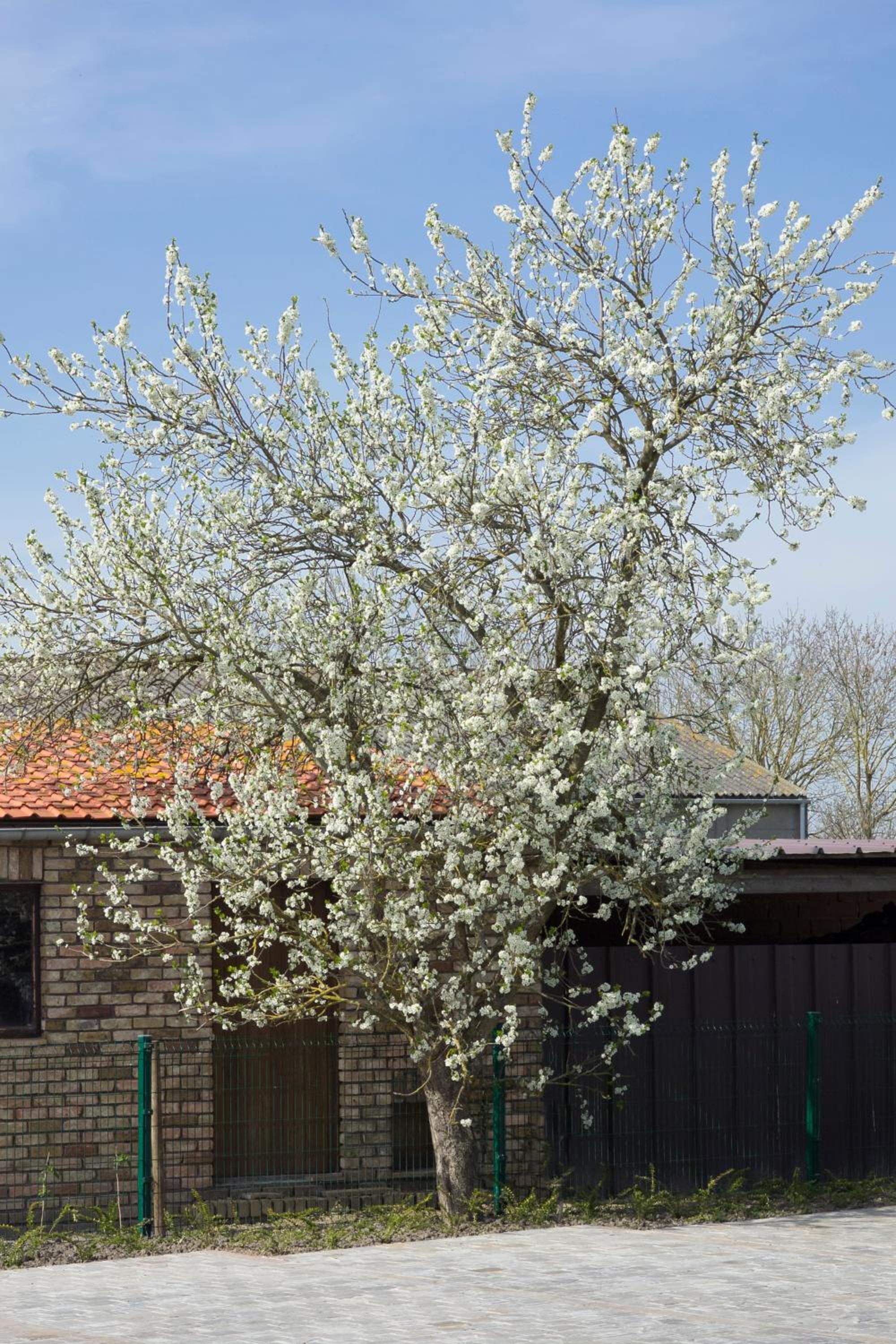 Holiday Home De Maalderij