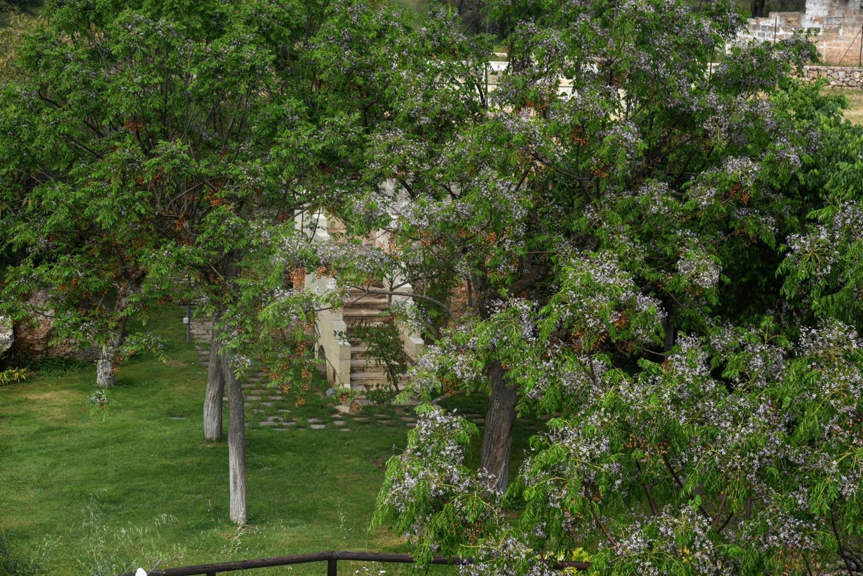 Casa ACANTO - Giardino Botanico con piscina view 4