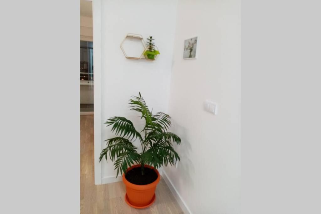 Stan, Apartman Eleven-Elf Tuzla centar, NOVO view 4