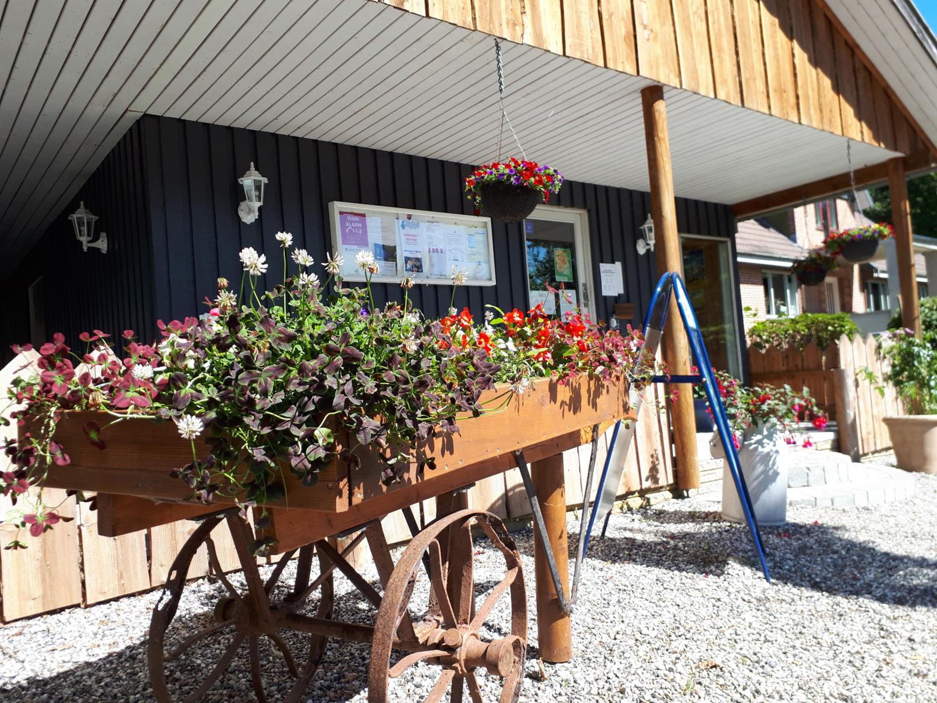 Bøllingsø Camping