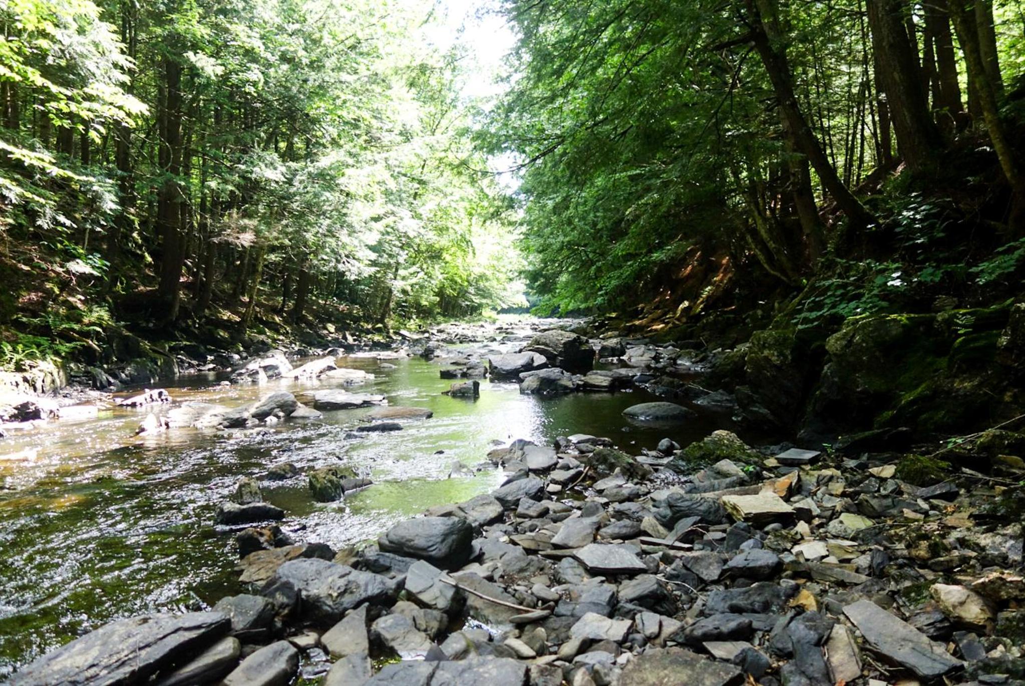 Boisé Rivière