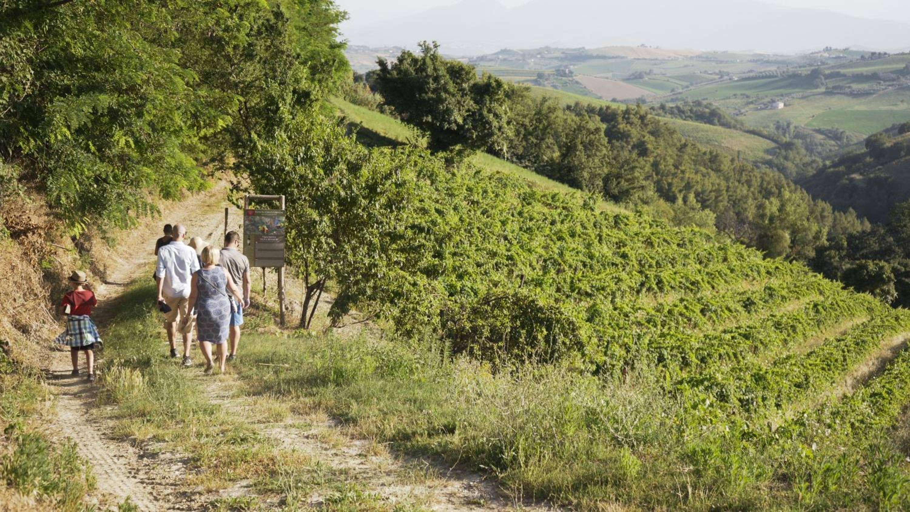 Relais Cocci Grifoni - Panoramic Wine Resort