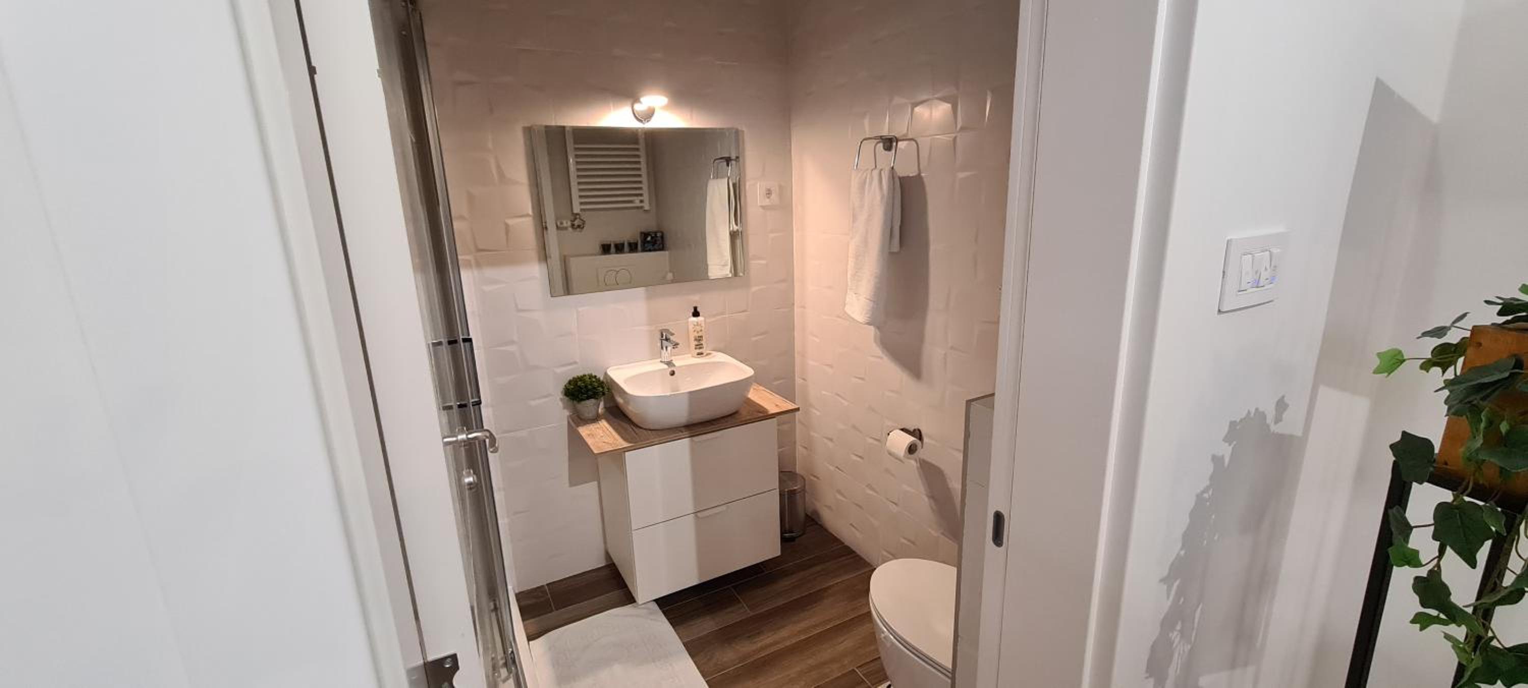 Apartman Delena view 5