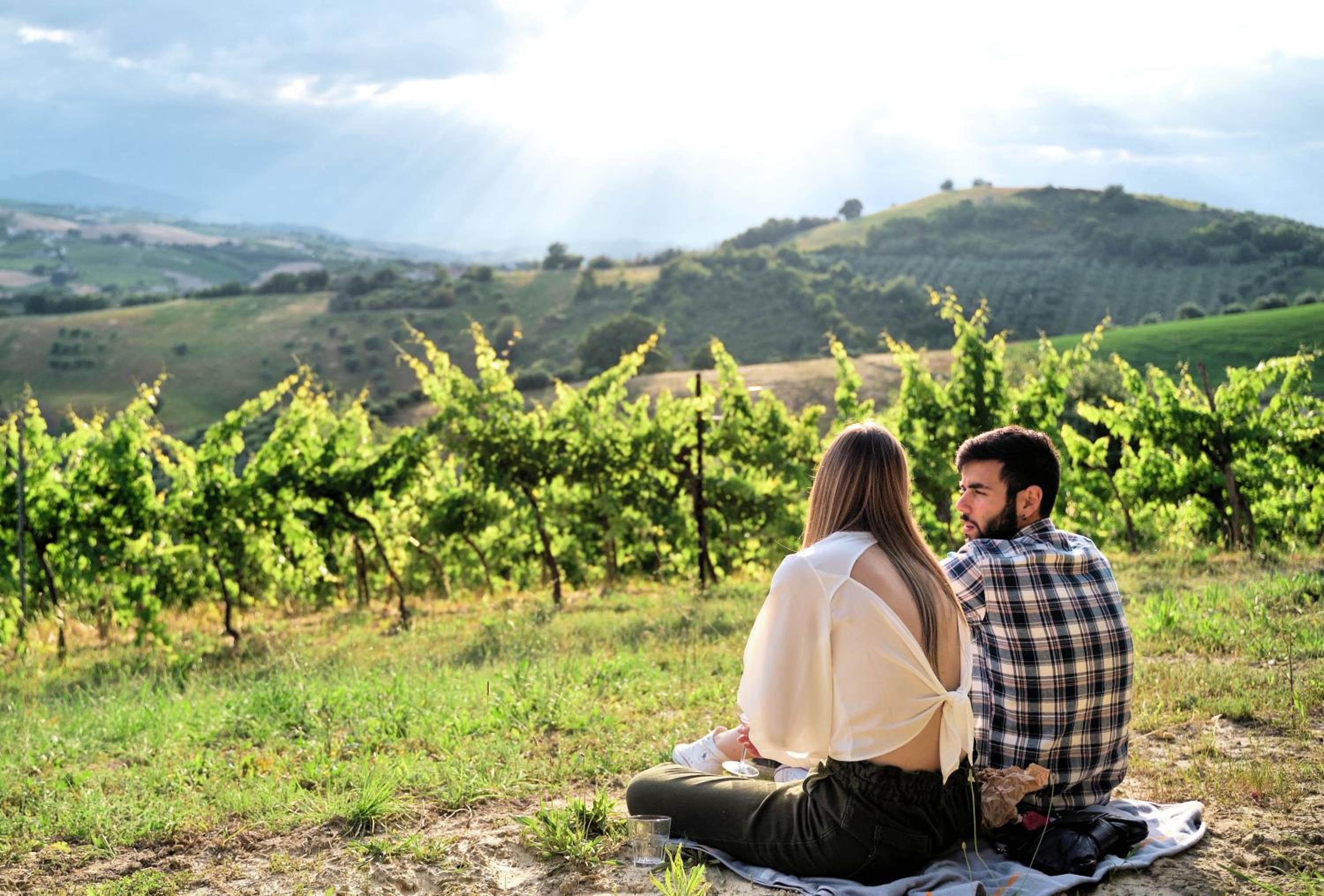 Relais Cocci Grifoni - Panoramic Wine Resort