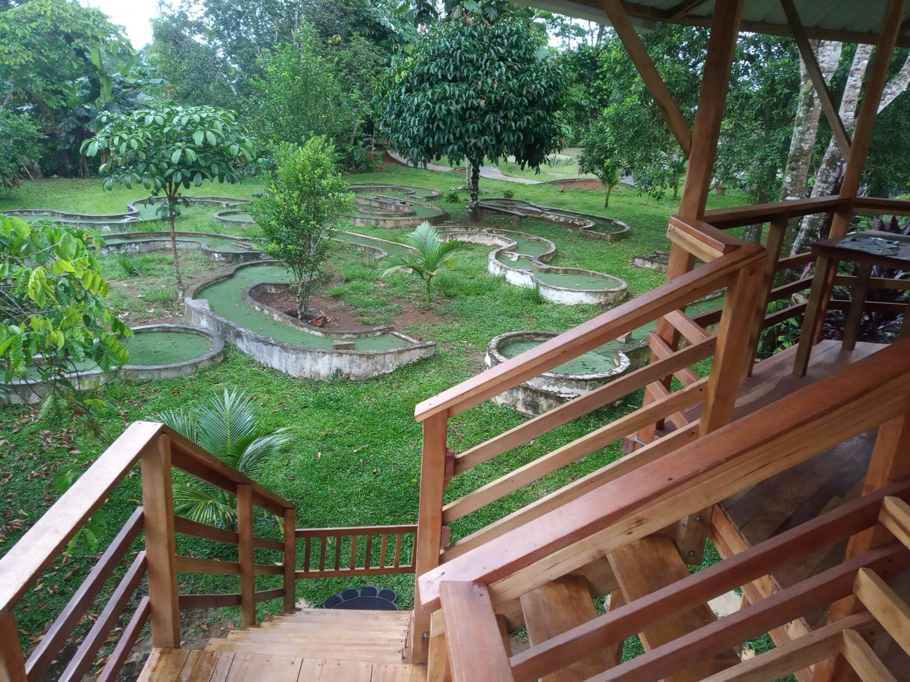 Photo 12