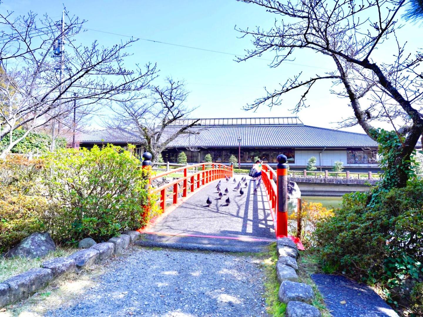 Photo 40