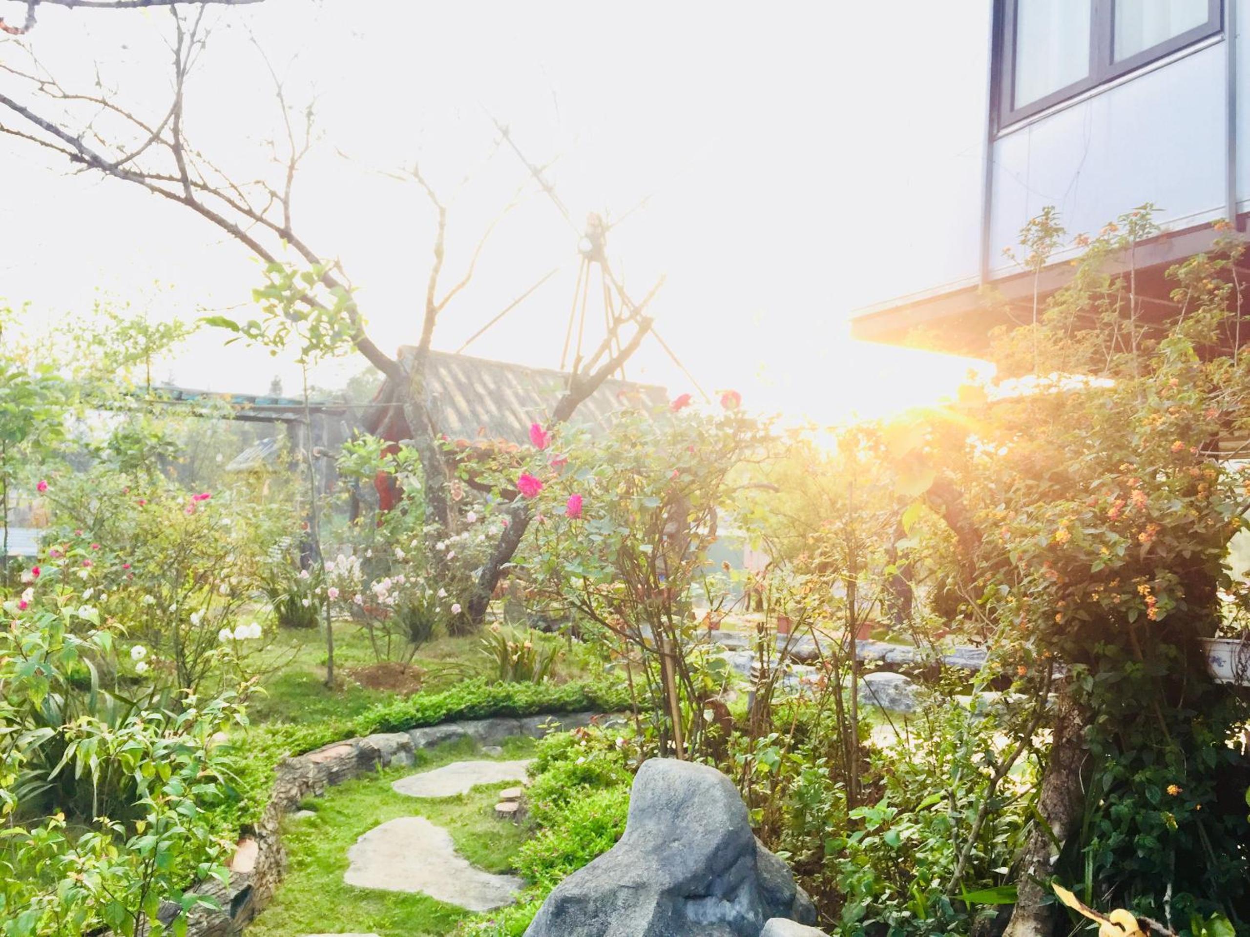 Homestay Discovery Sapa