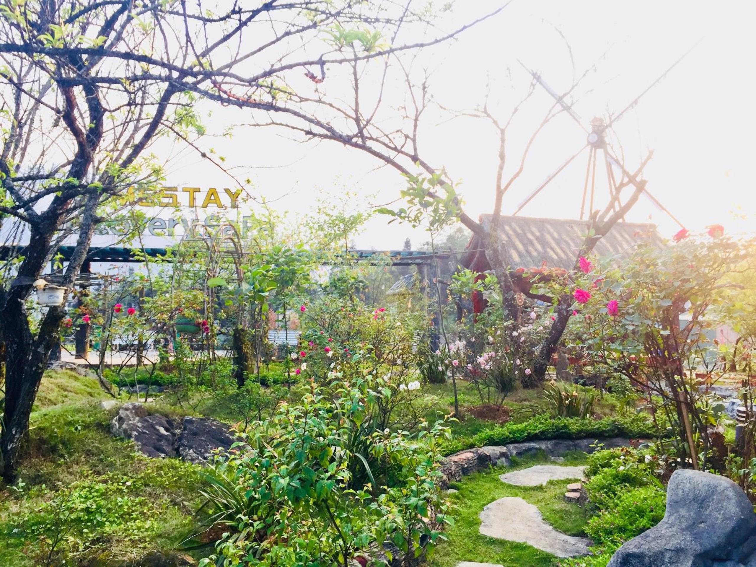 Homestay Discovery Sapa