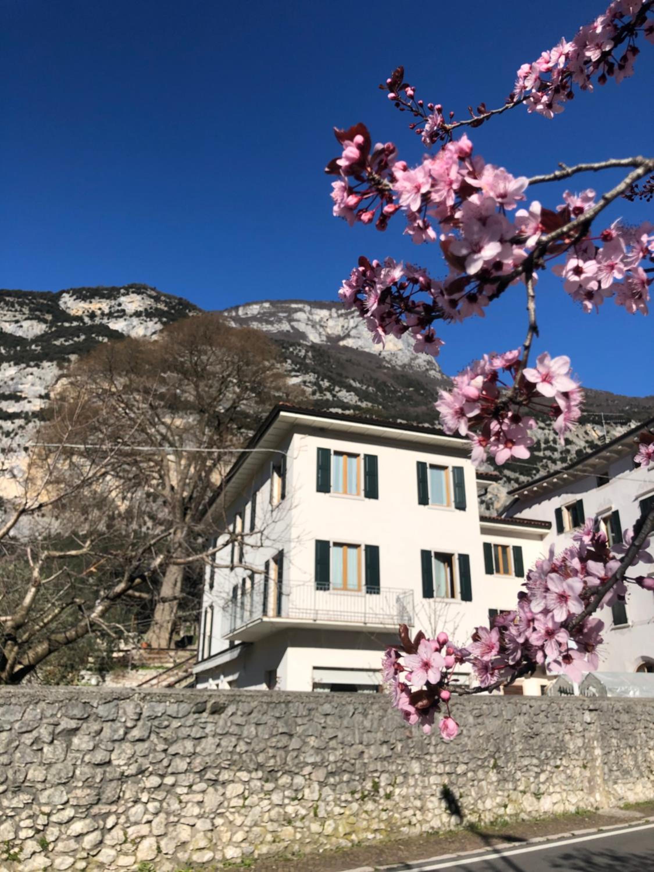 Hotel Garnì Delle Rose view 4