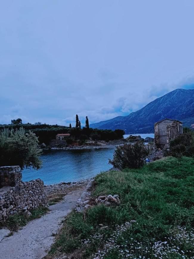 Photo 44