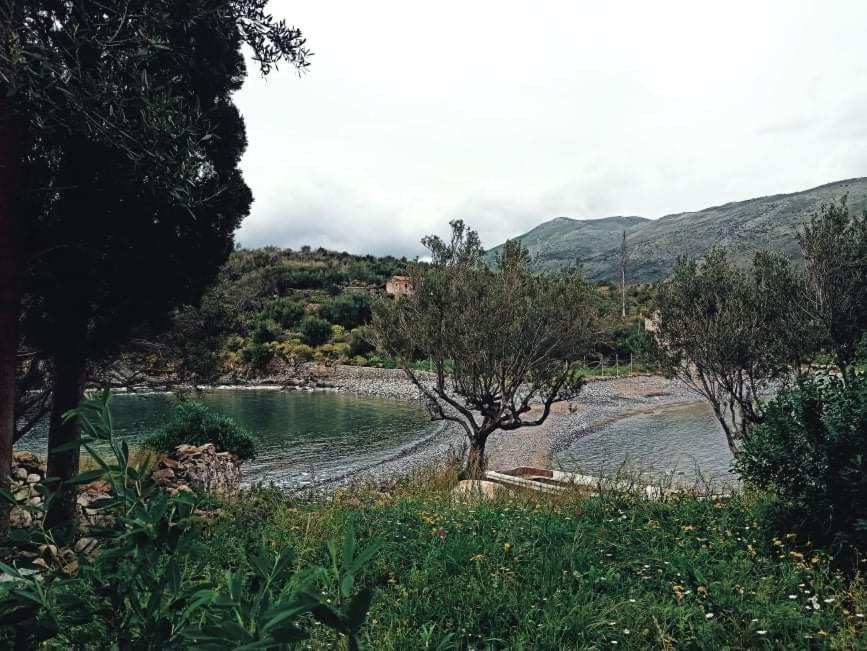 Photo 46