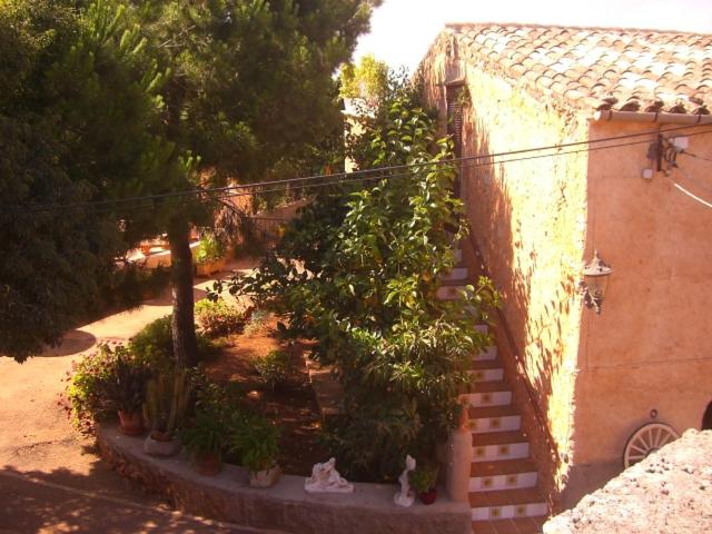Photo 24