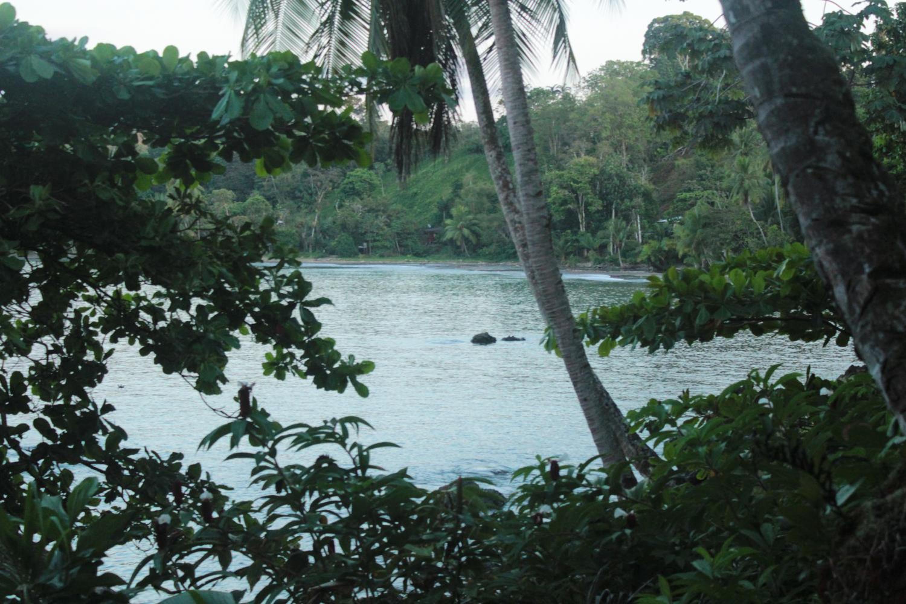 Casa Horizontes Corcovado