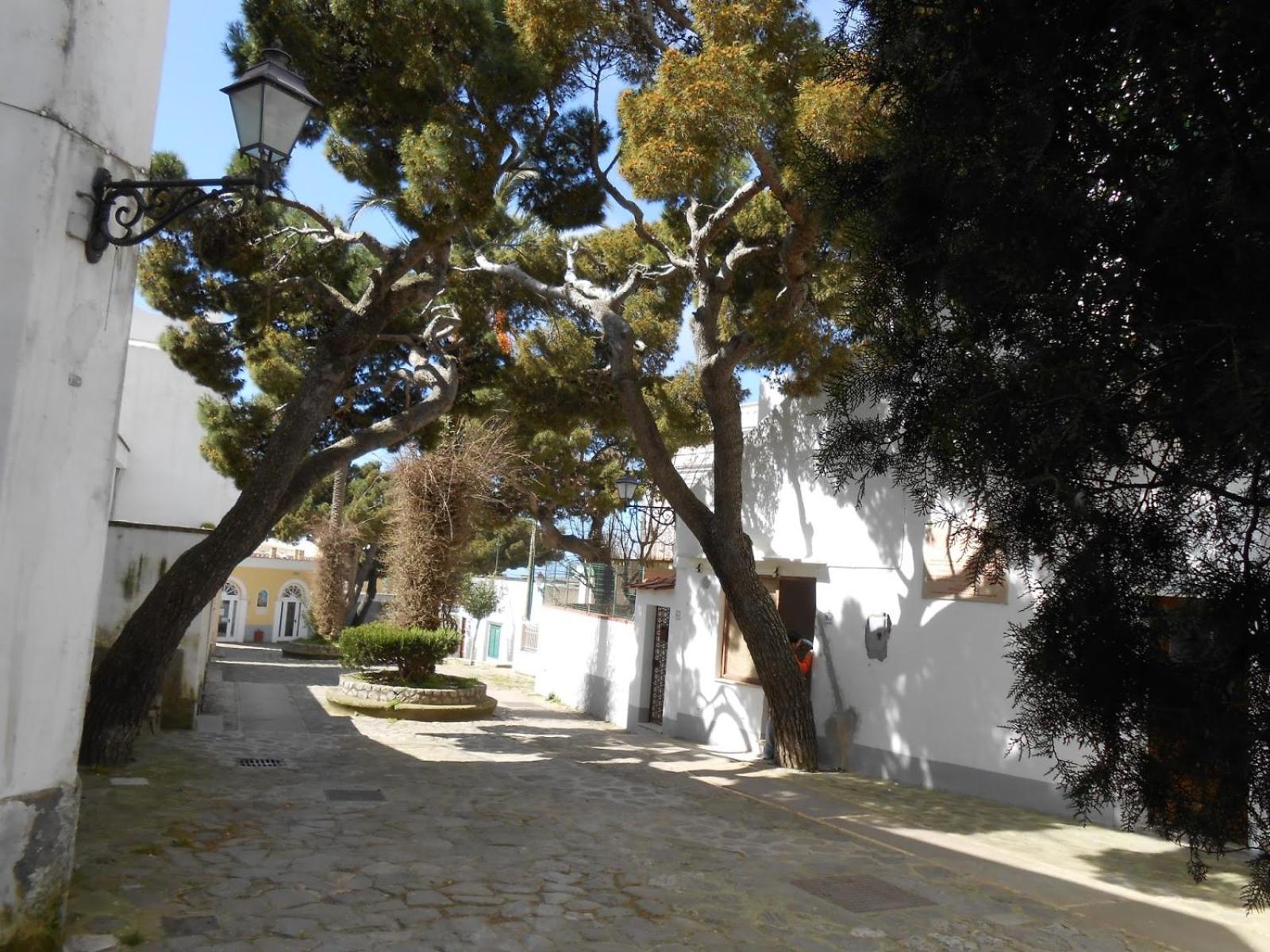 GUEST HOUSE LE BOFFE photo 4