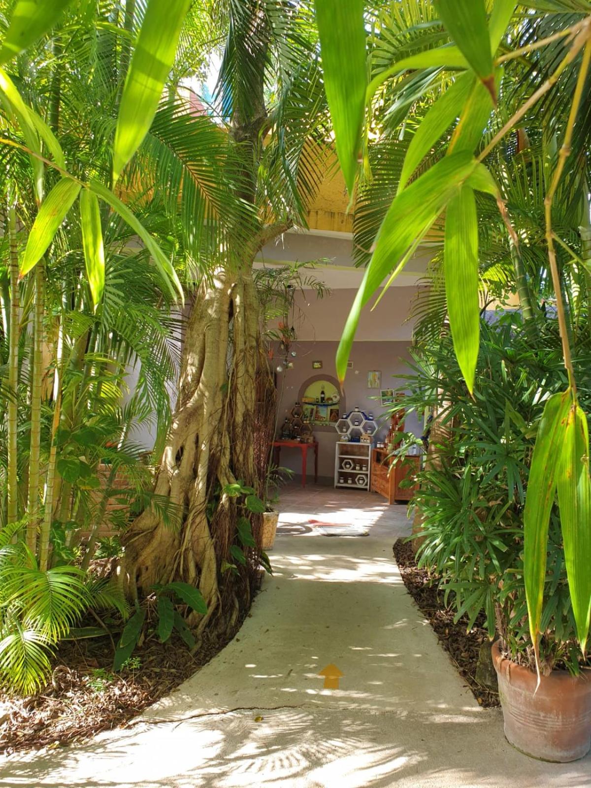 Casa Don Diego