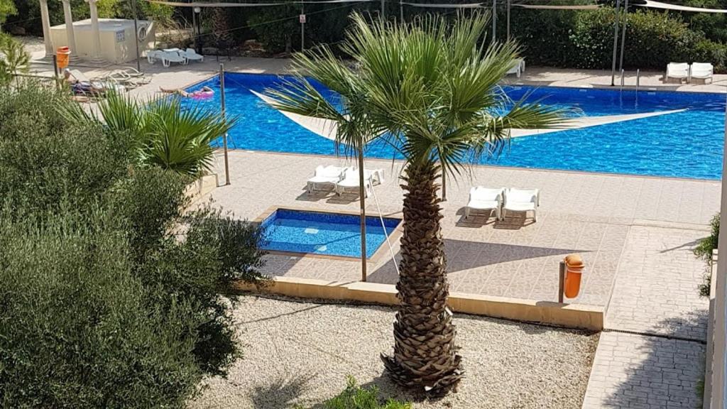 NISSI BEACH POOL VIEW APARTMENT FREE WIFI