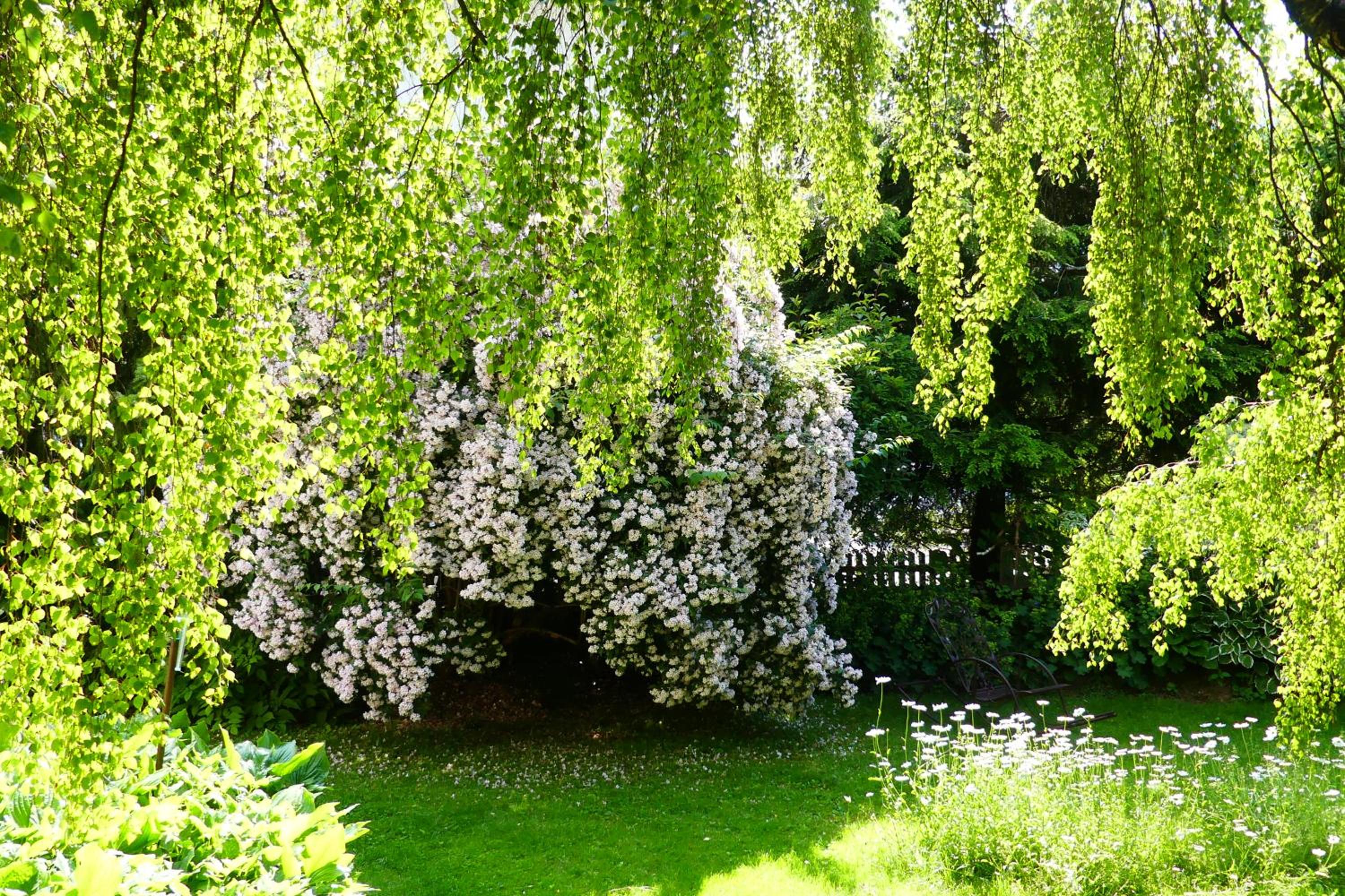 Ferienwohnungen Familie Wetzlinger