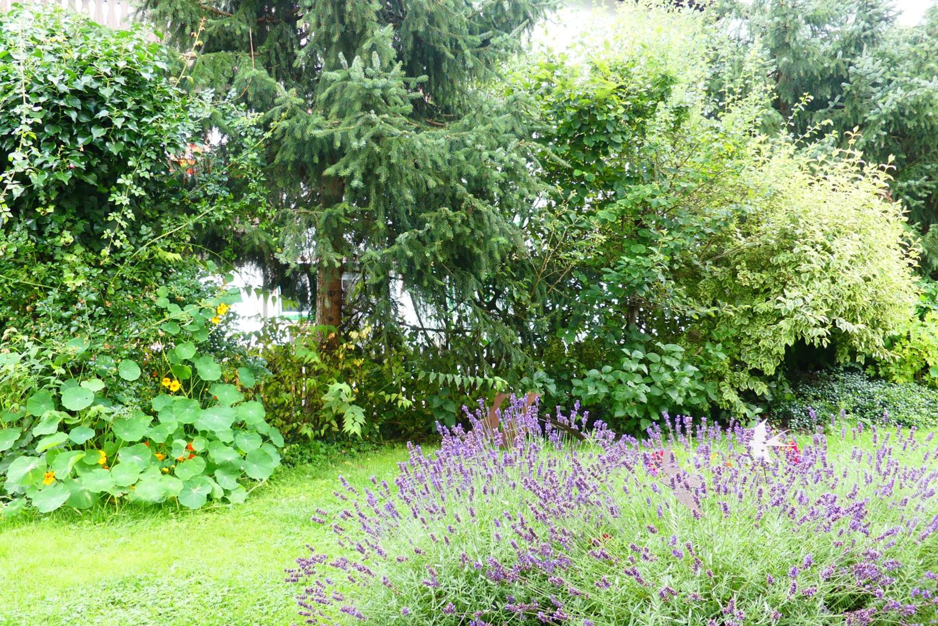 Ferienwohnungen Familie Wetzlinger