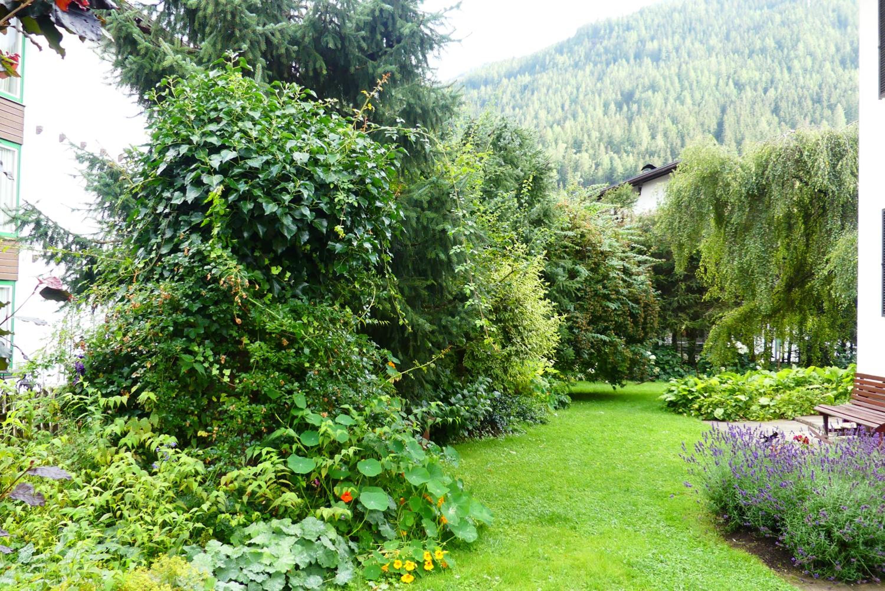 Ferienwohnungen Familie Wetzlinger