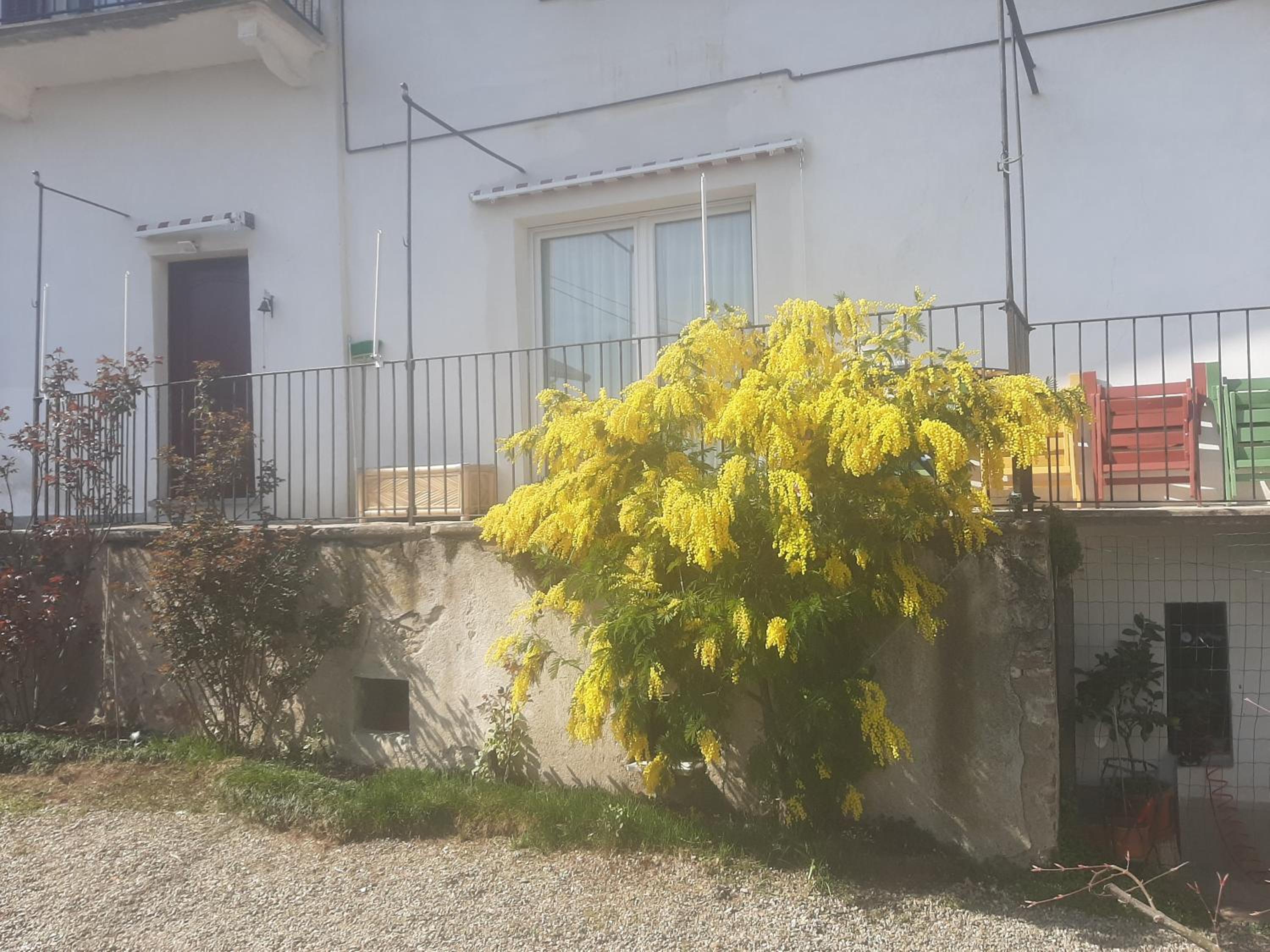 Photo 43