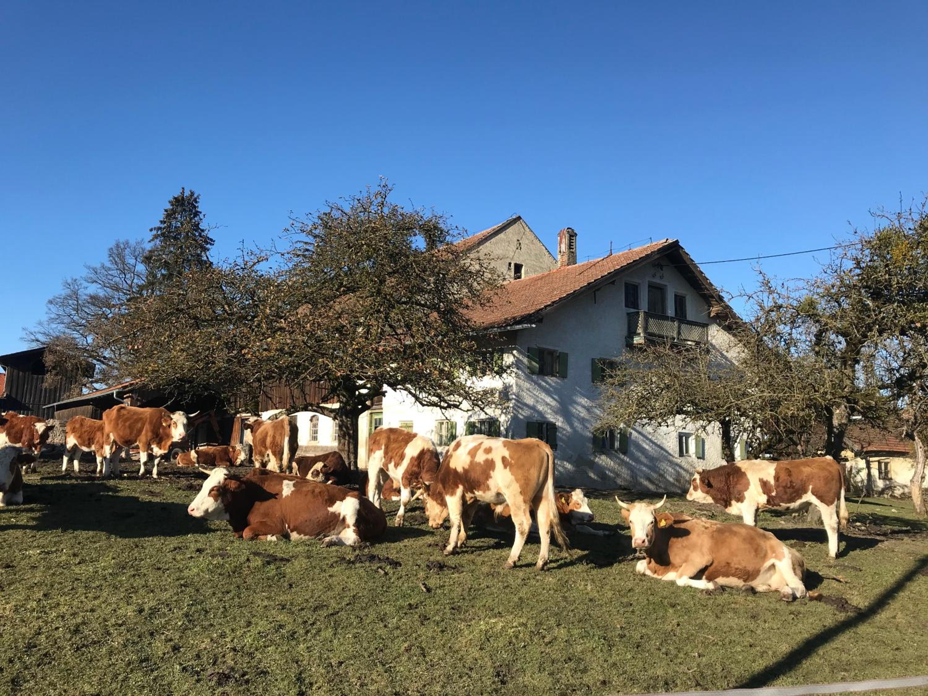 Bed and Breakfast Bavaria München