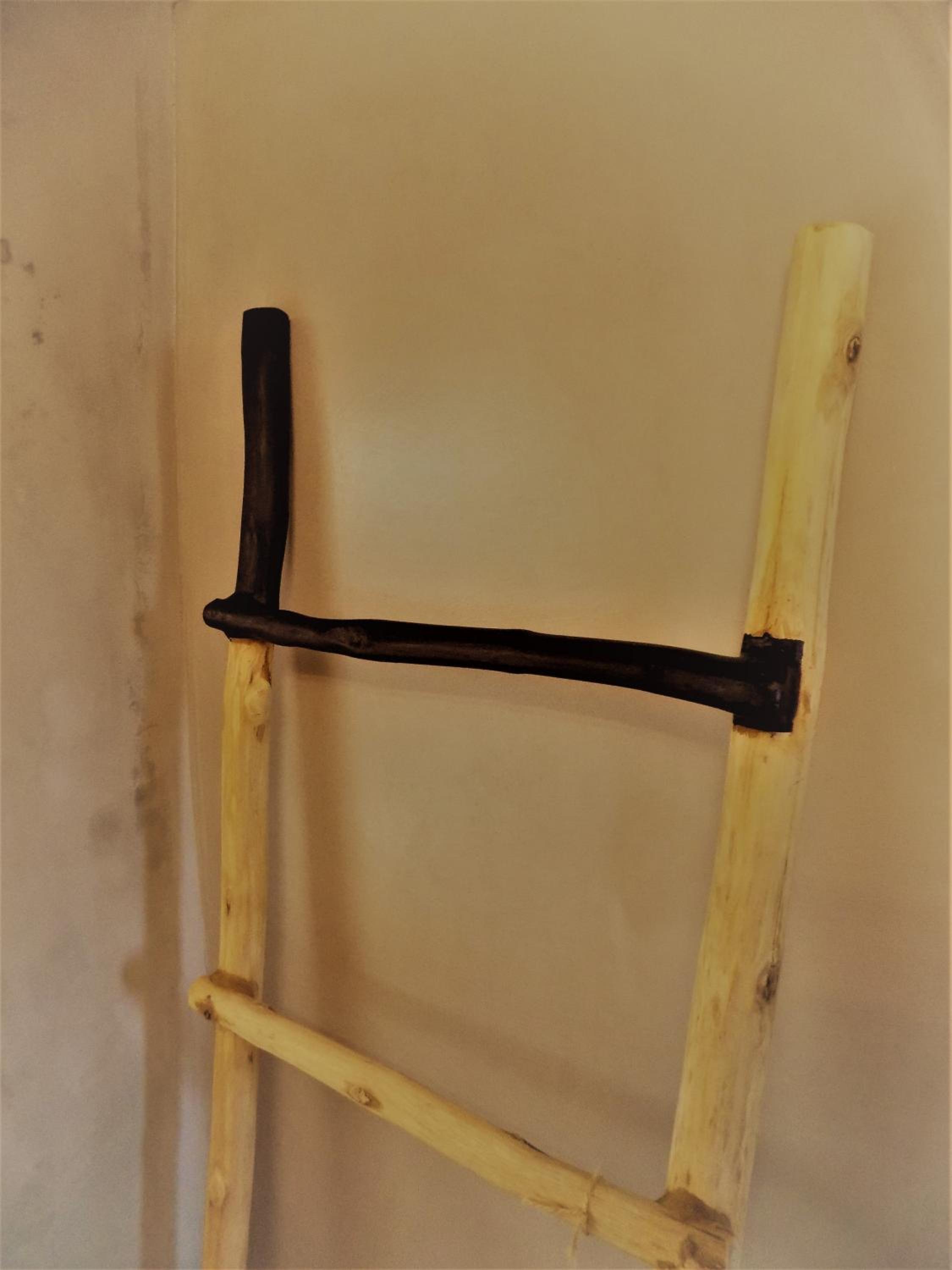 Photo 31